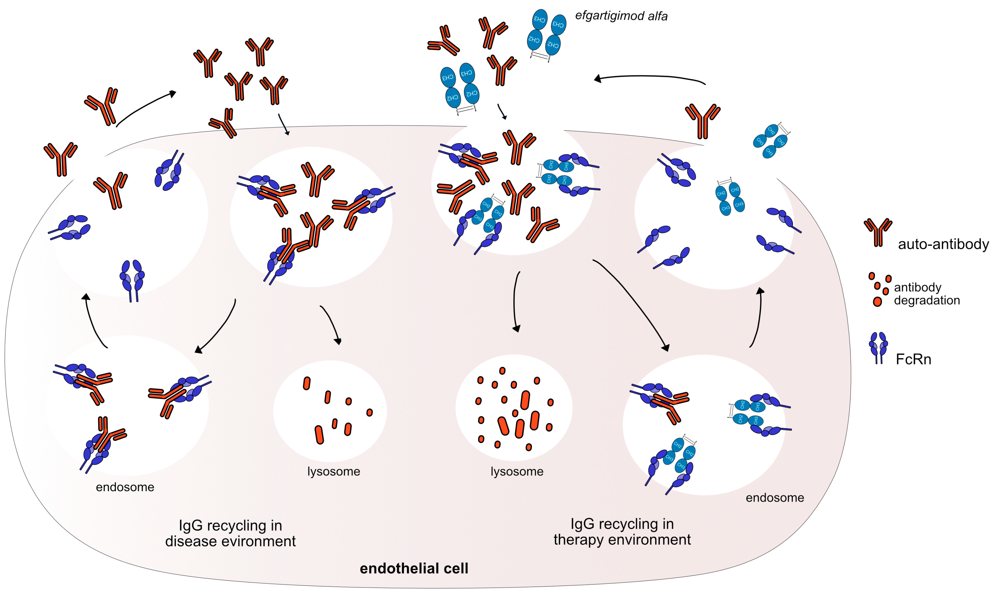 Preprints 86848 g003