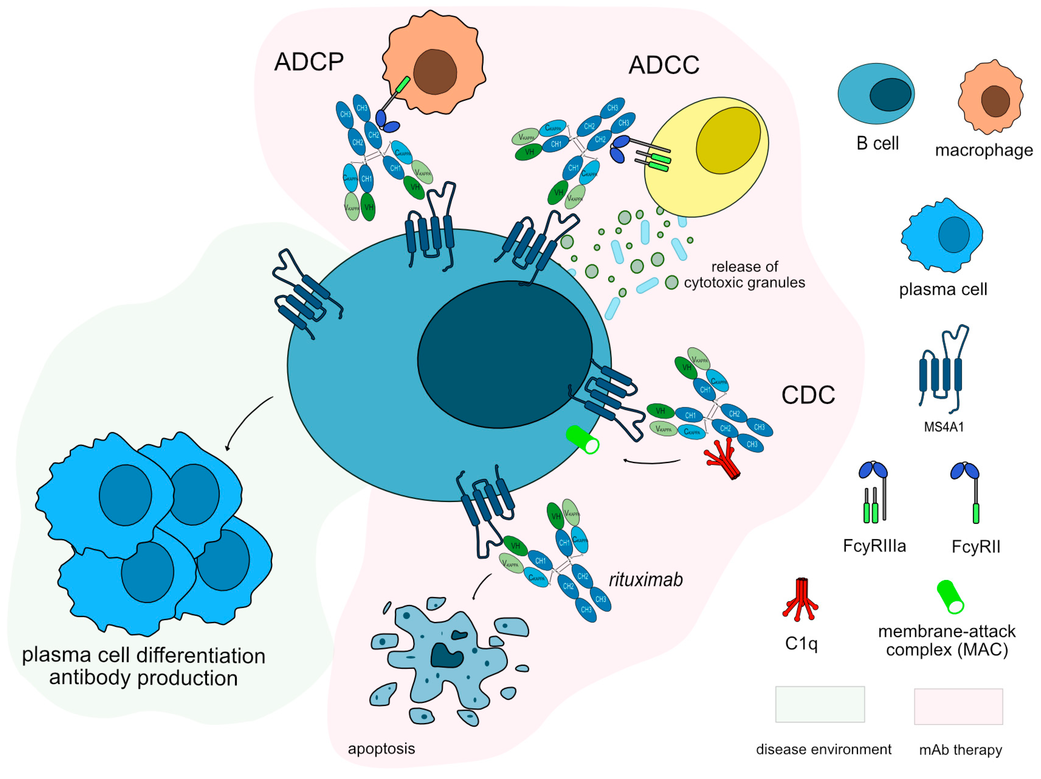 Preprints 86848 g004