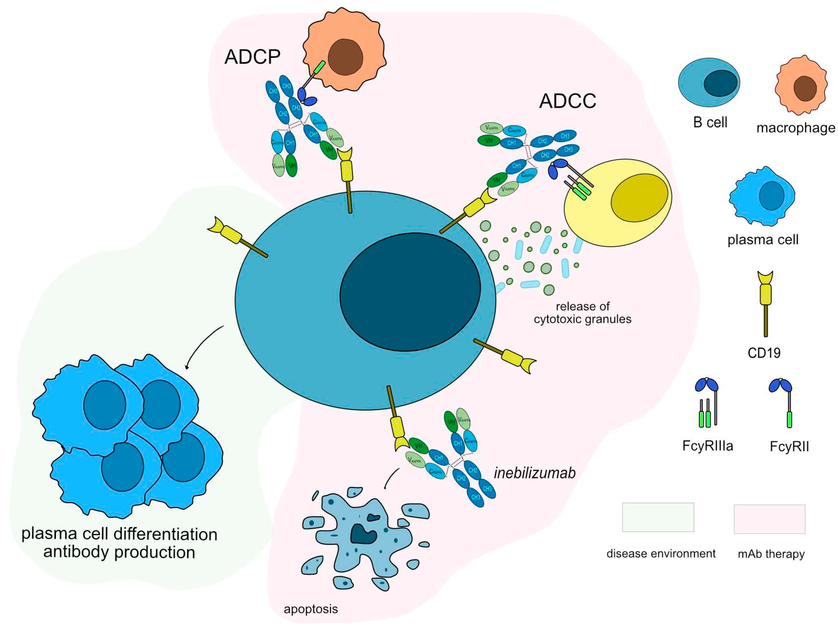 Preprints 86848 g005