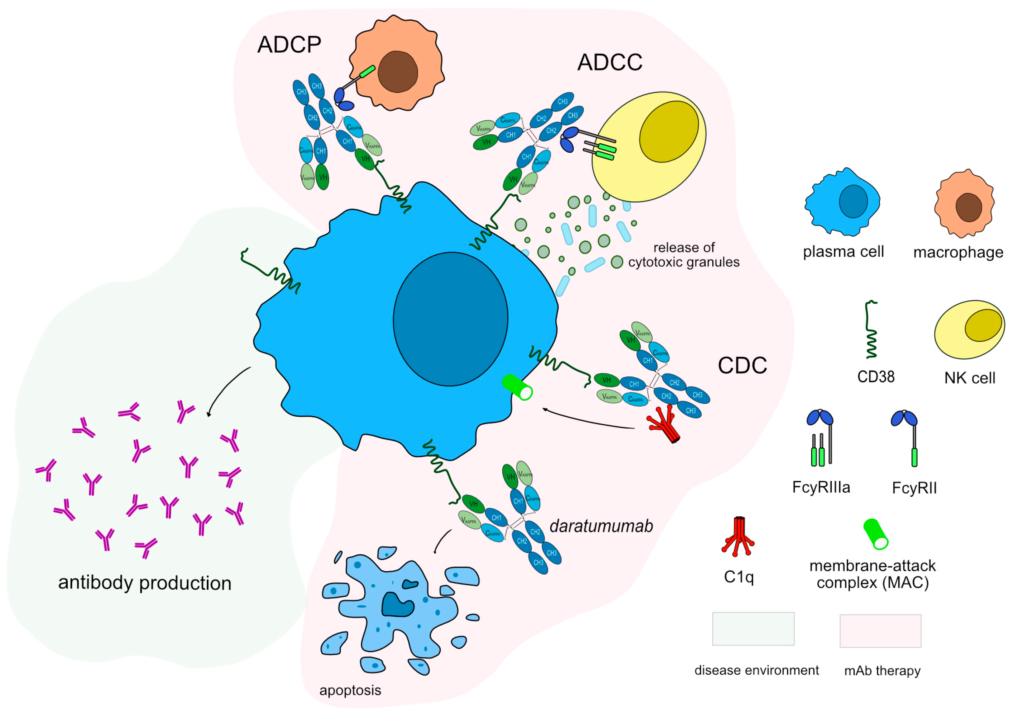 Preprints 86848 g006