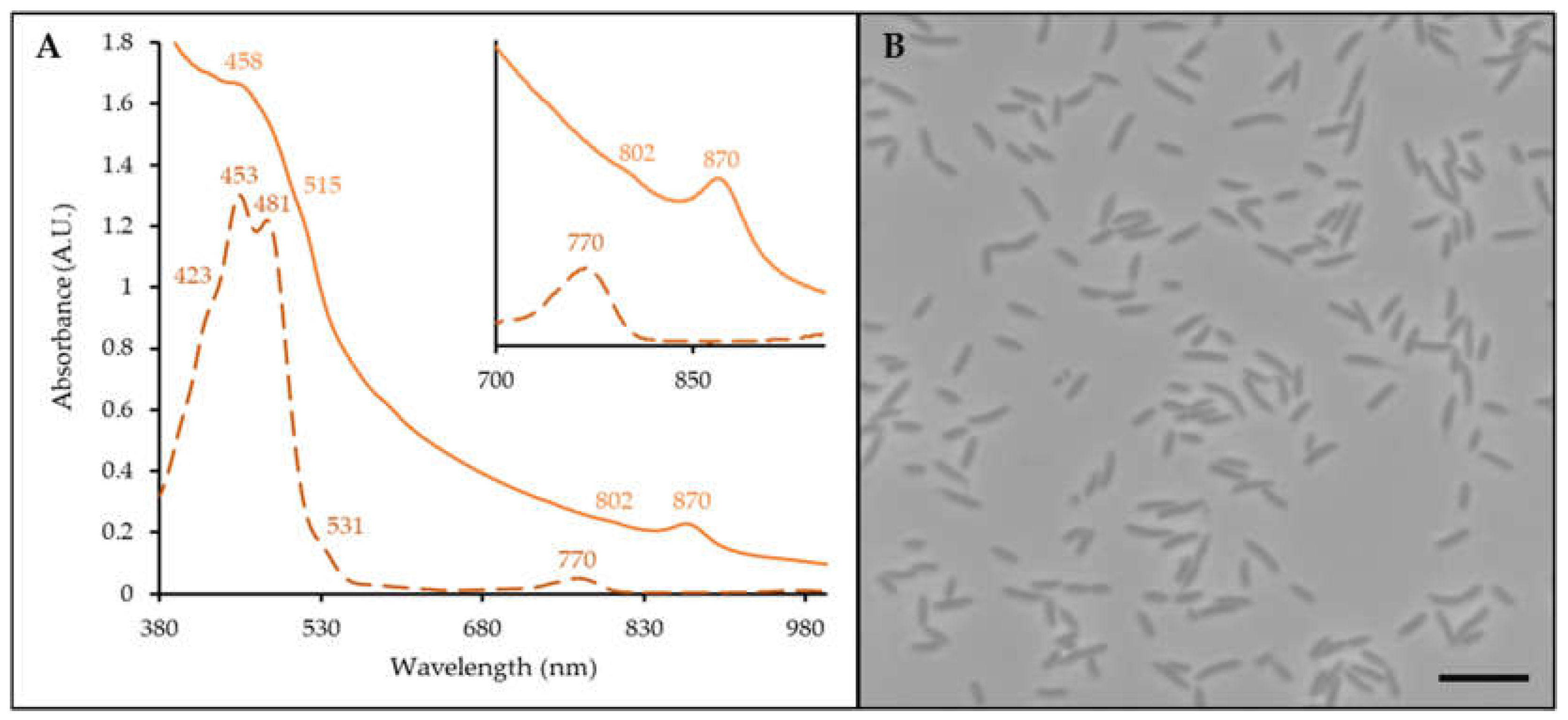 Preprints 118382 g001