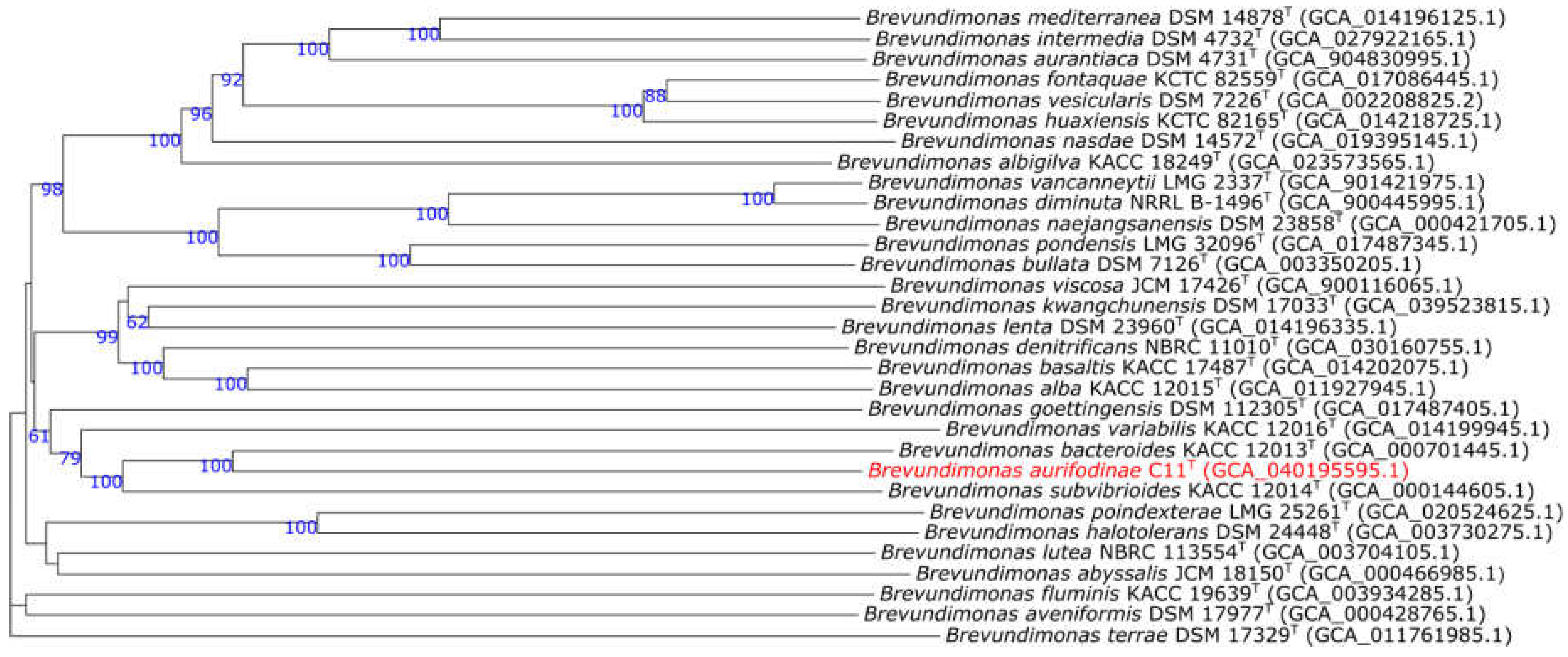 Preprints 118382 g003