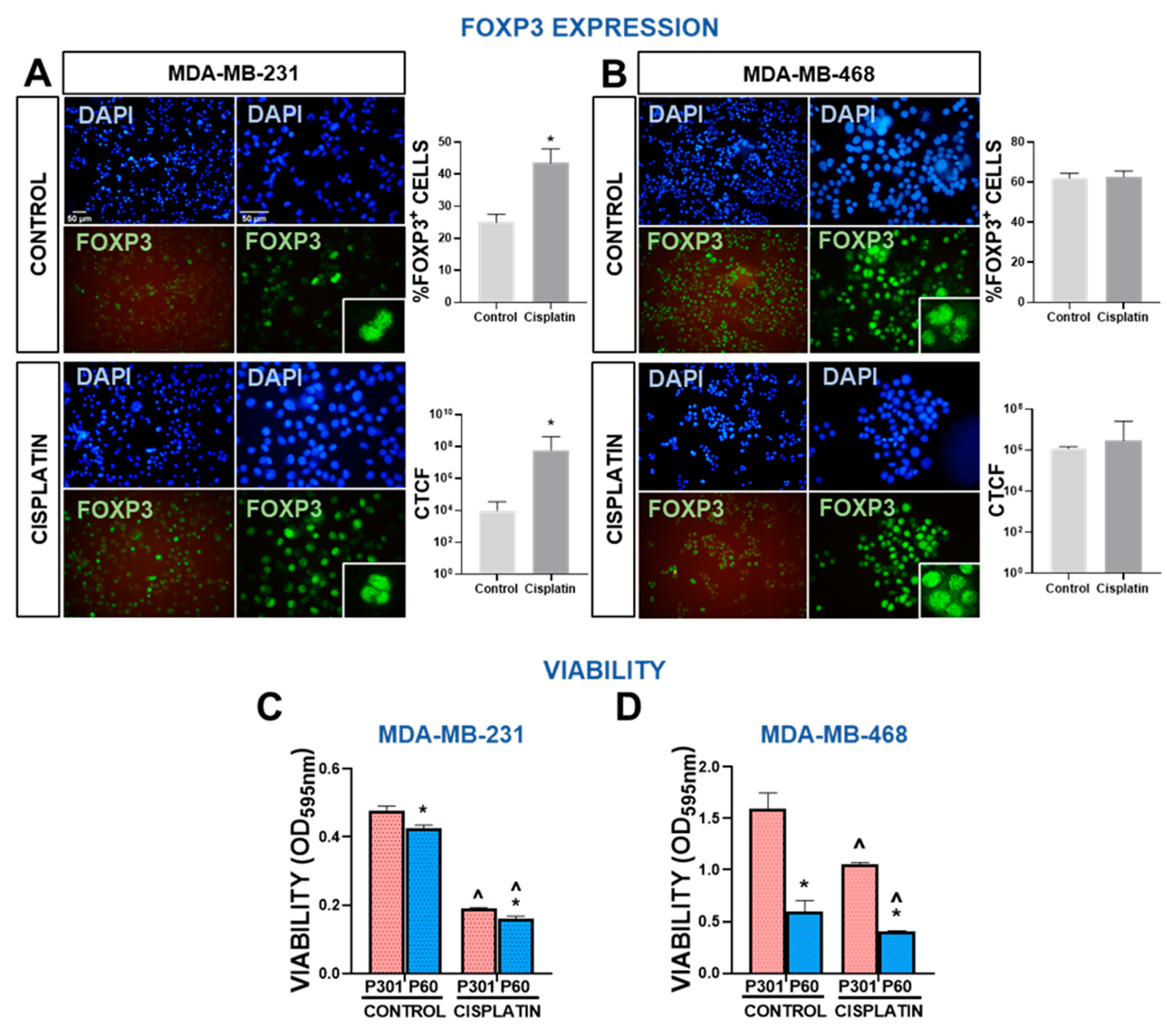 Preprints 81128 g004