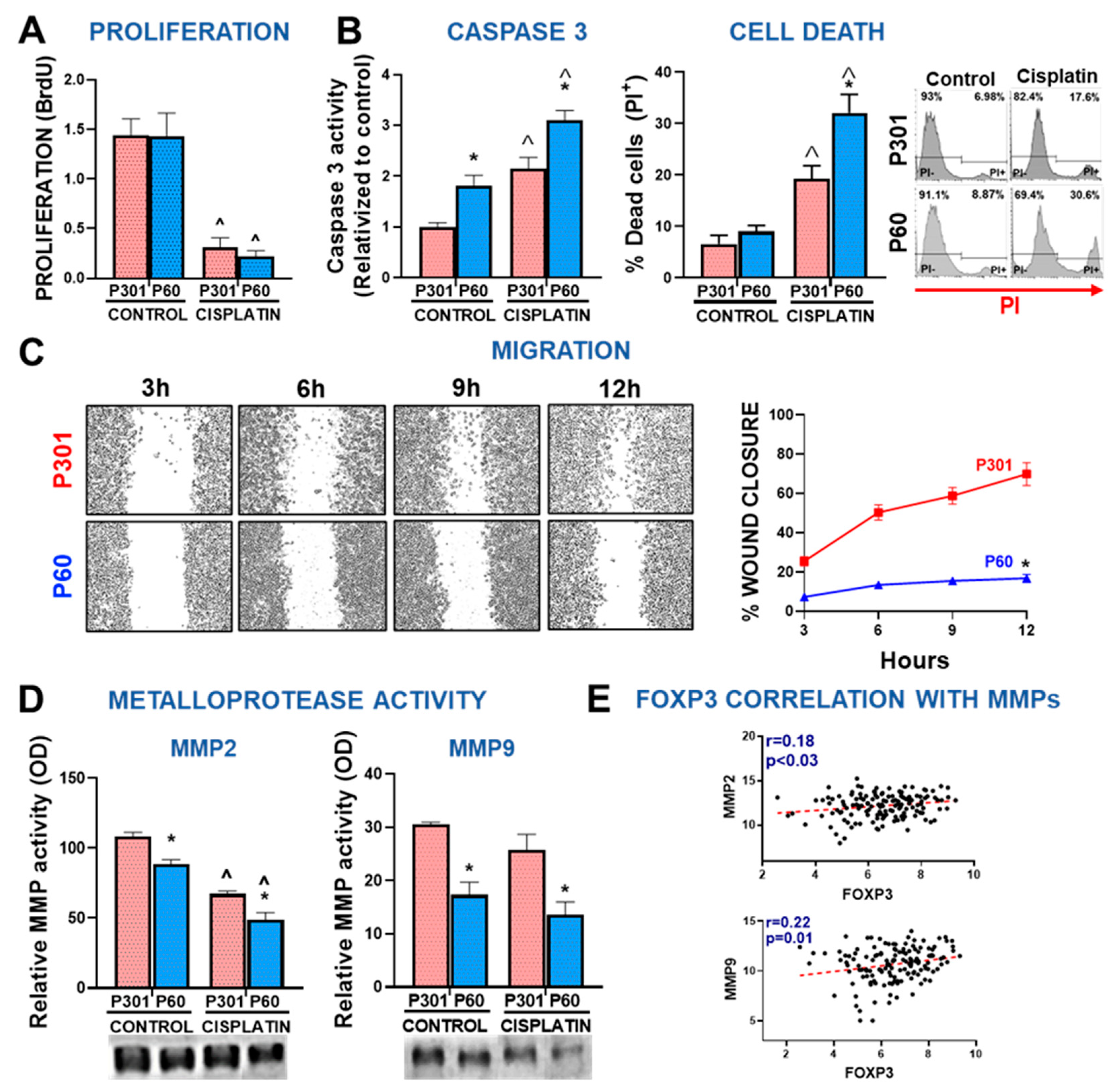 Preprints 81128 g005