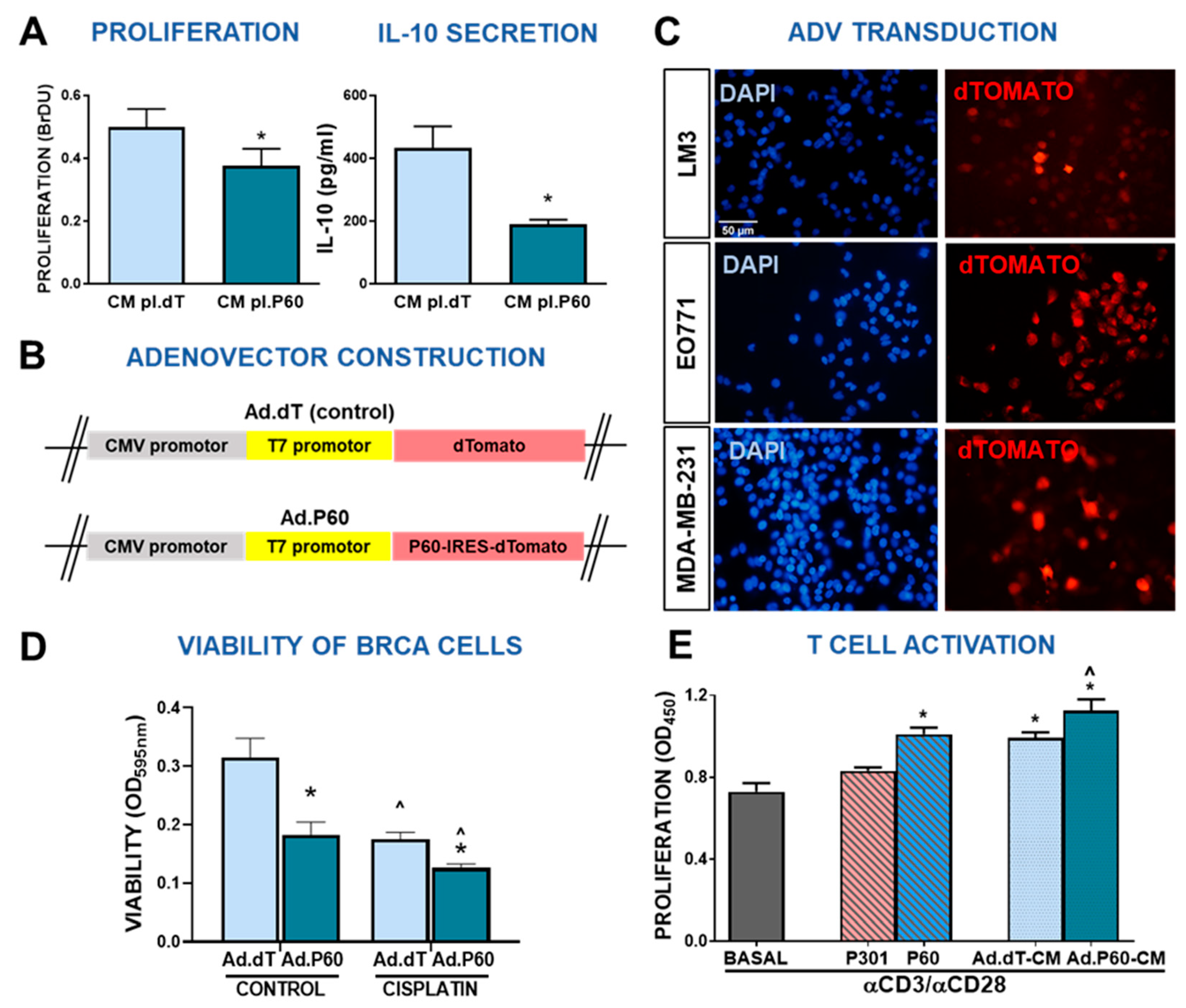 Preprints 81128 g006