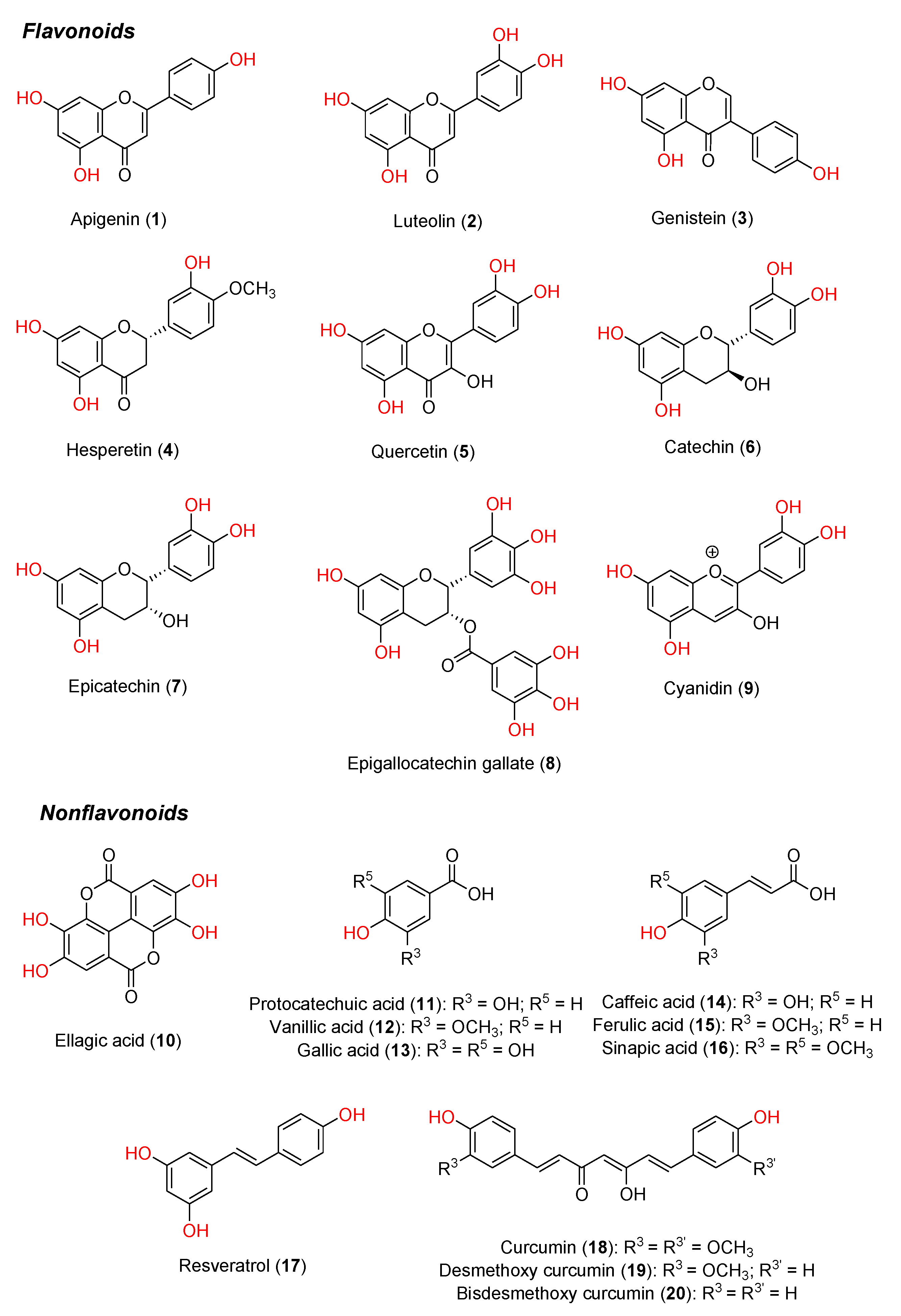 Preprints 92145 g001