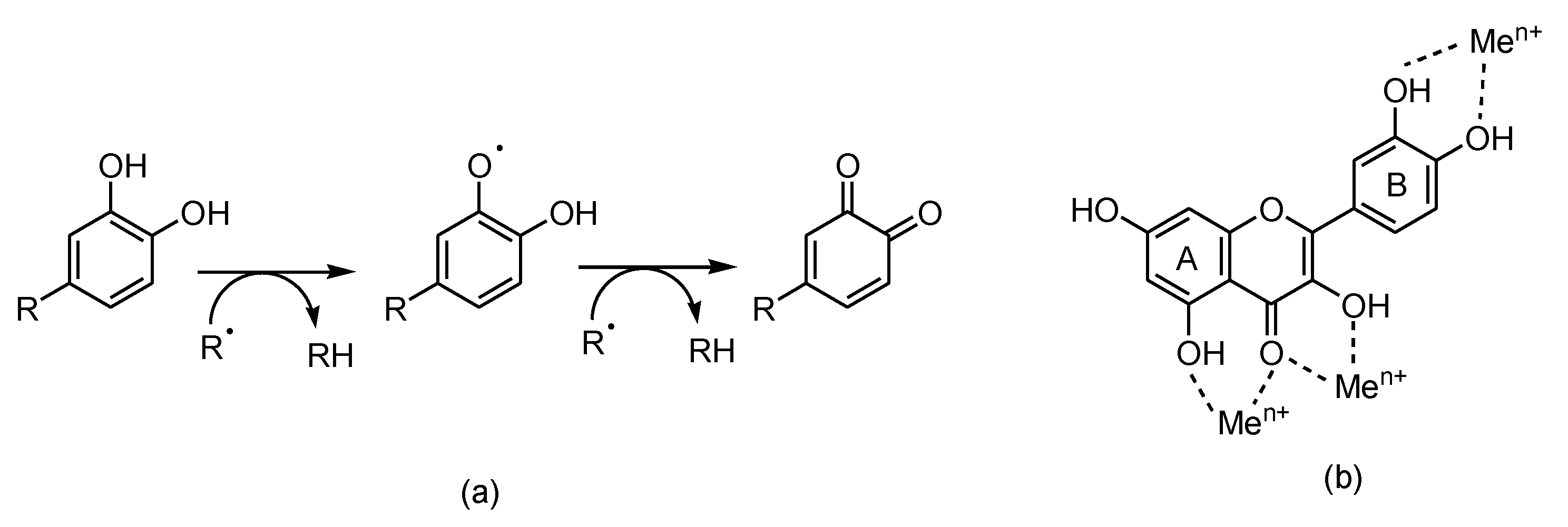 Preprints 92145 g003