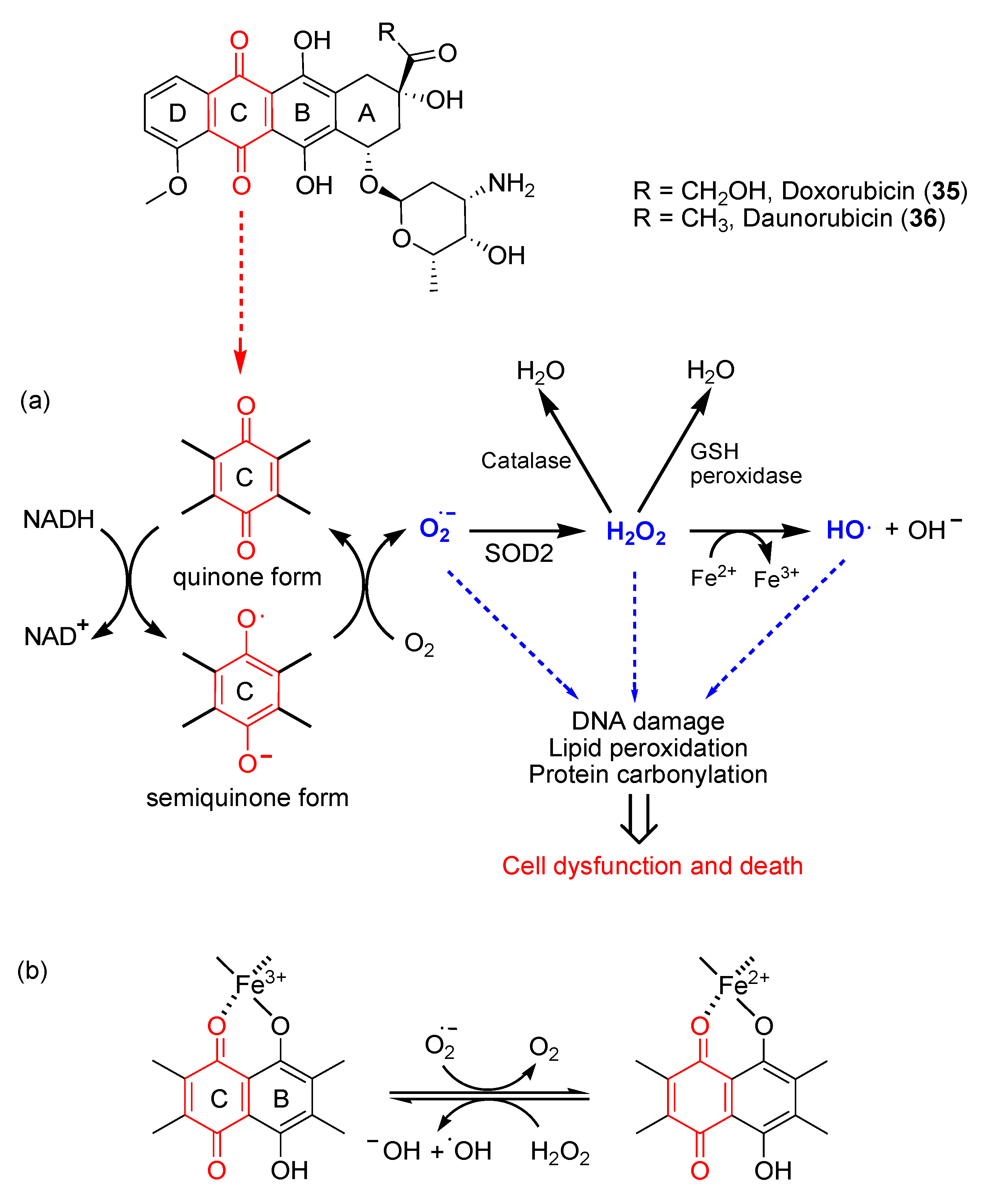 Preprints 92145 g006