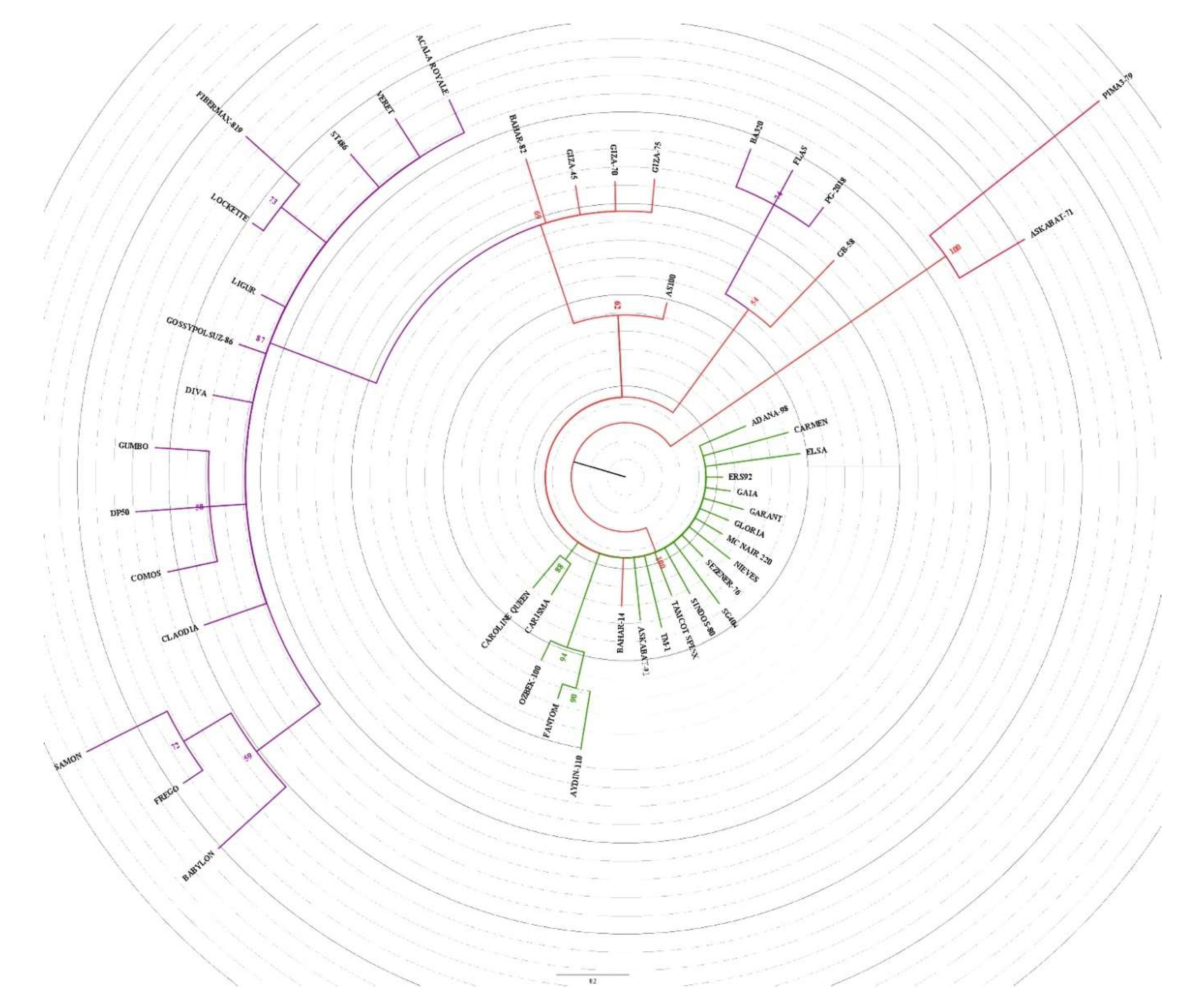 Preprints 82921 g001