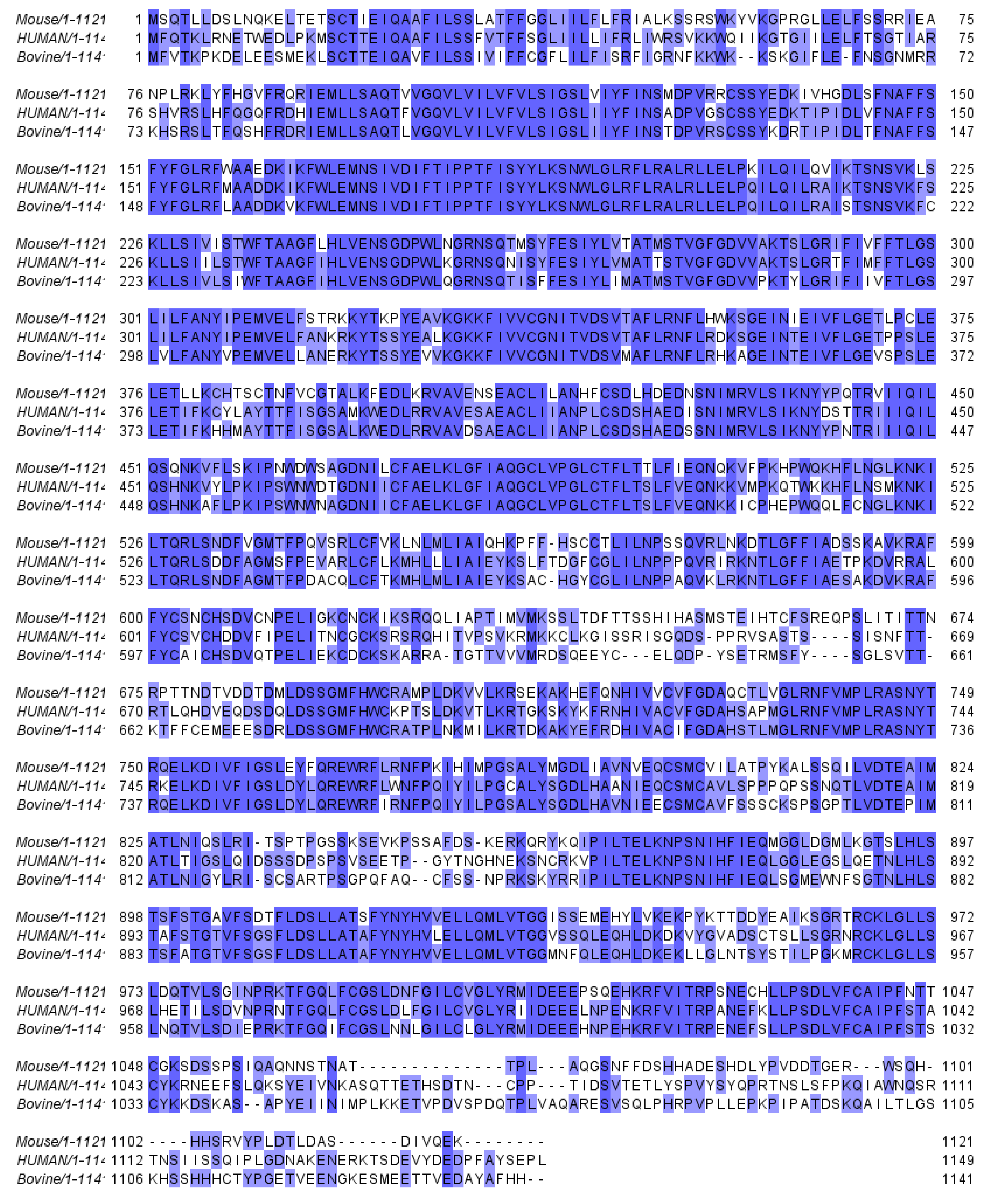 Preprints 75556 g001