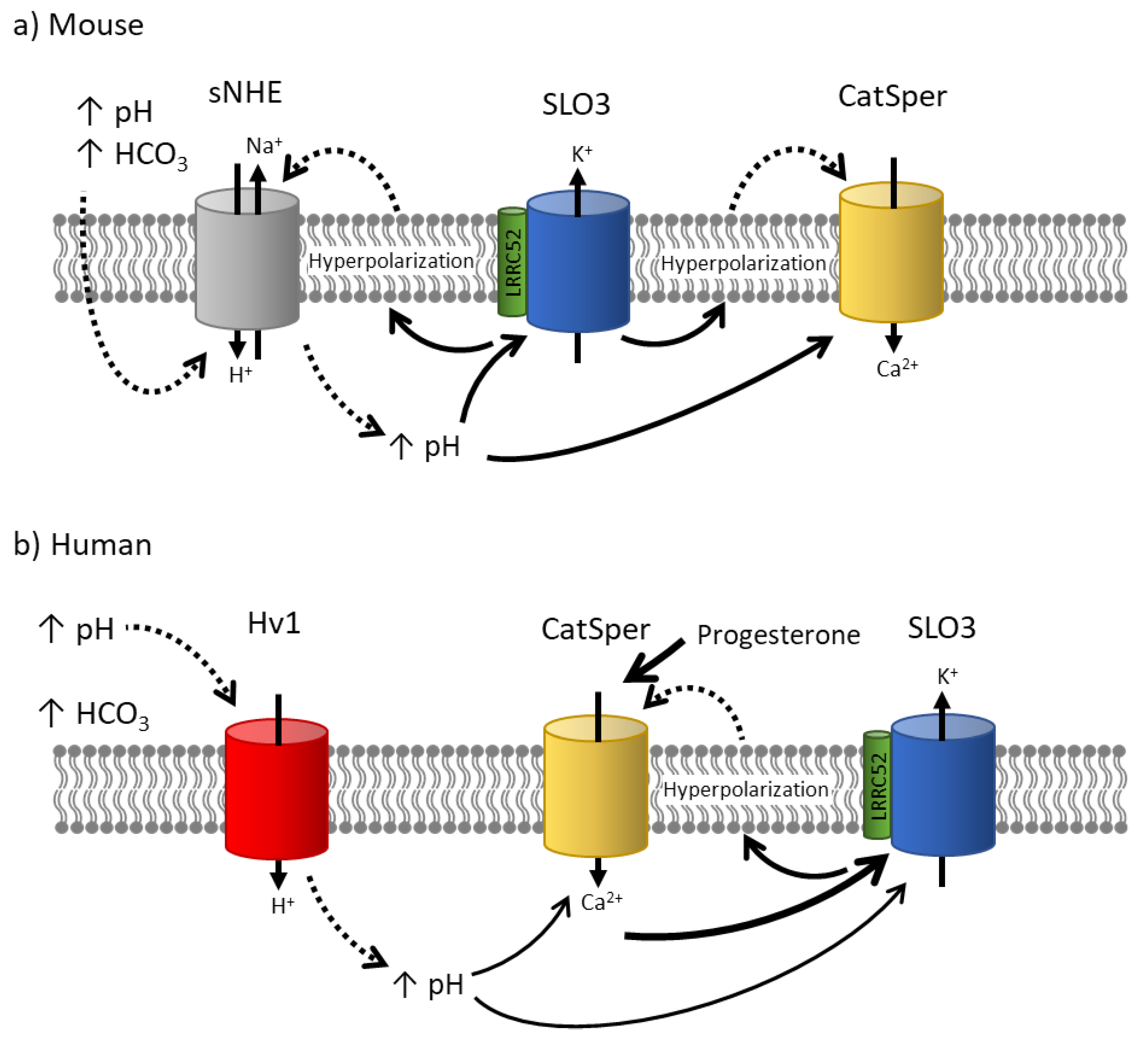 Preprints 75556 g003