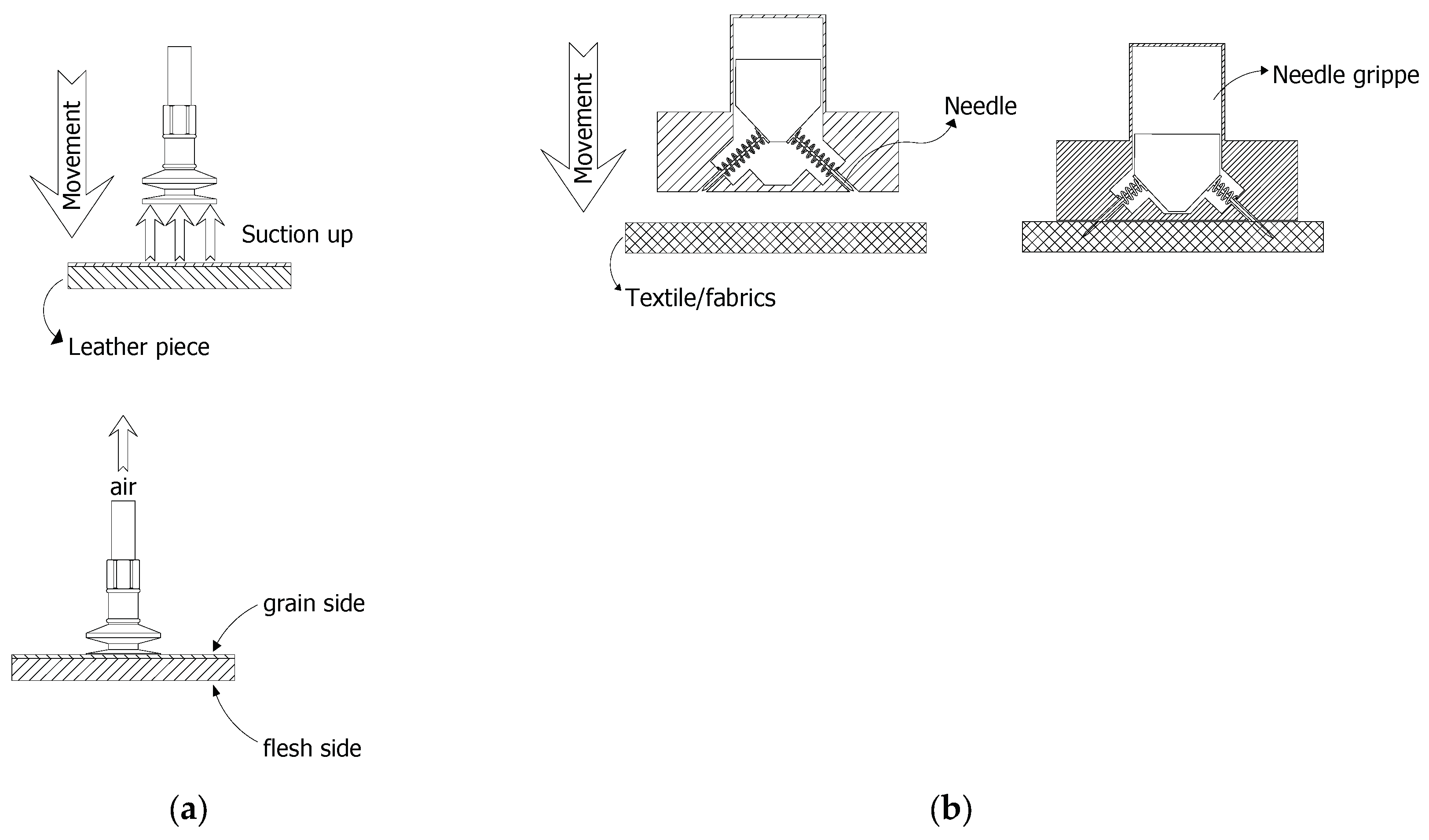 Preprints 99875 g002