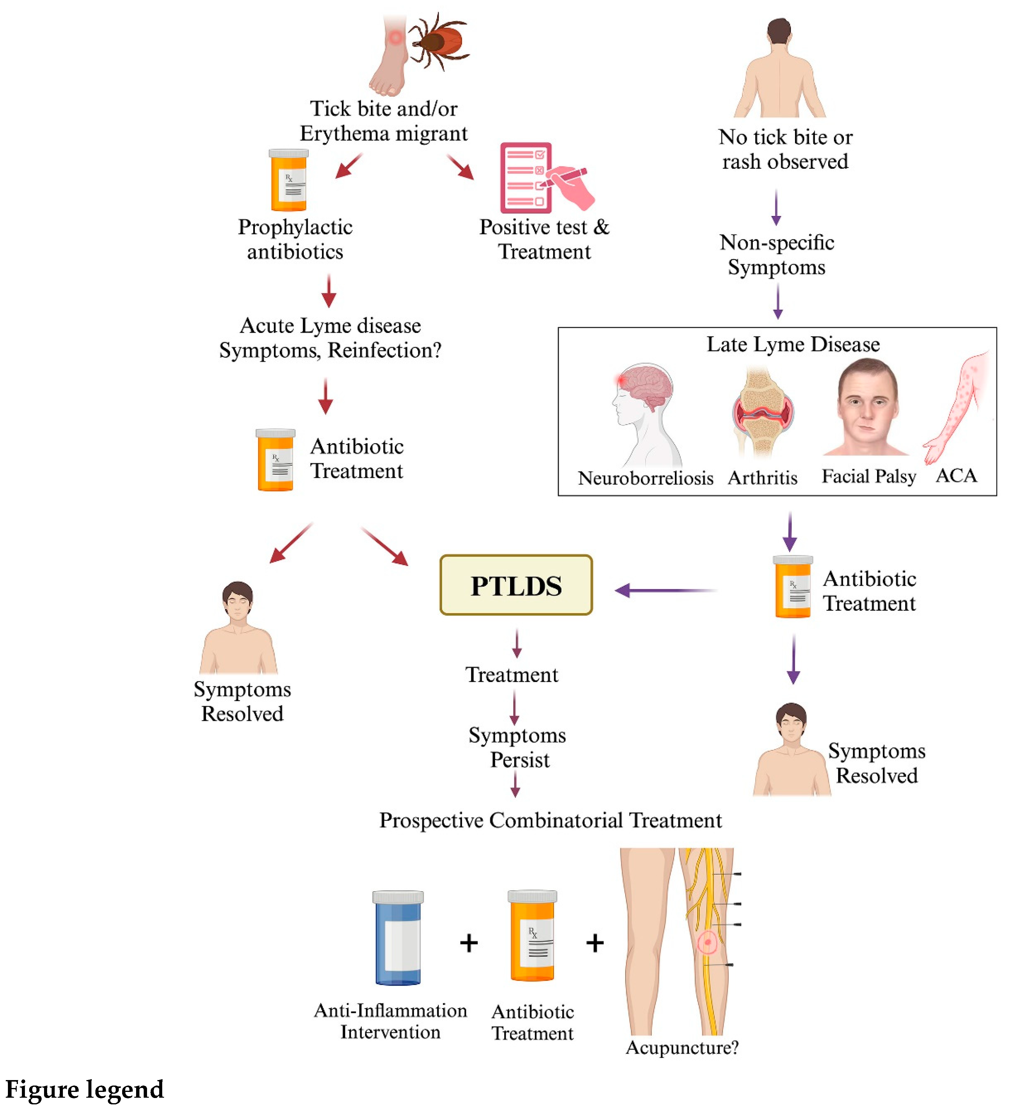 Preprints 105331 g001