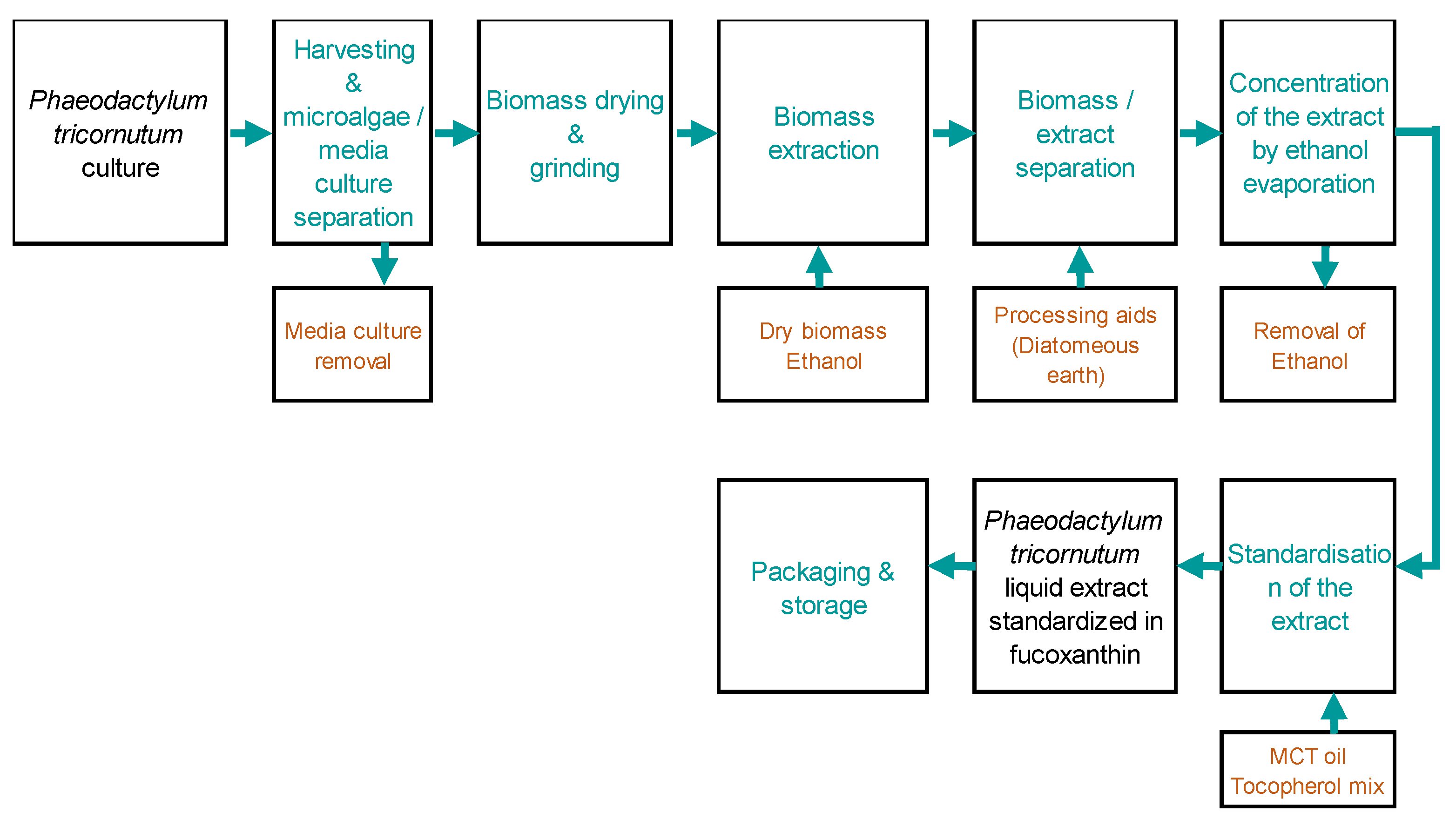 Preprints 97946 g006