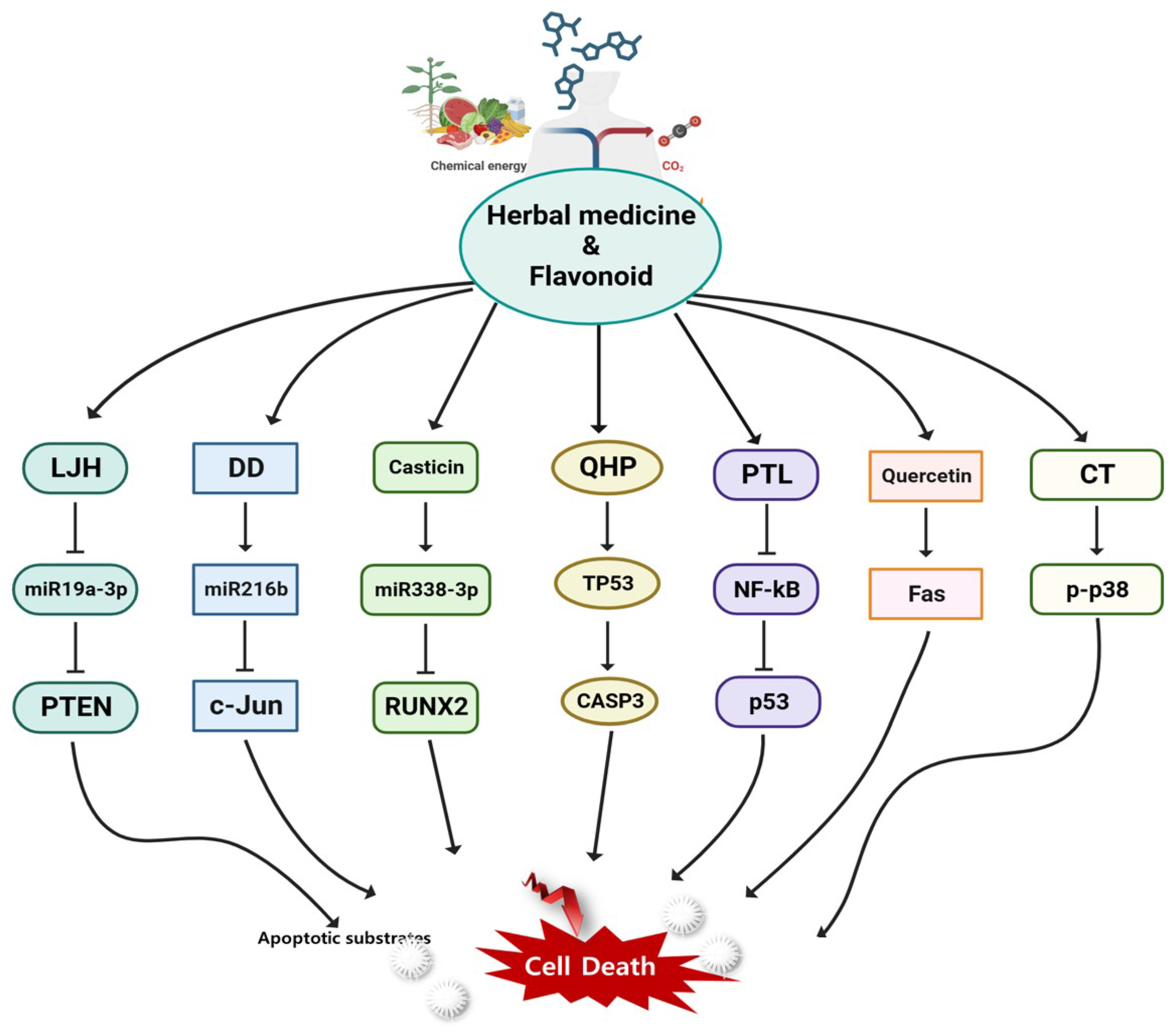 Preprints 77676 g005