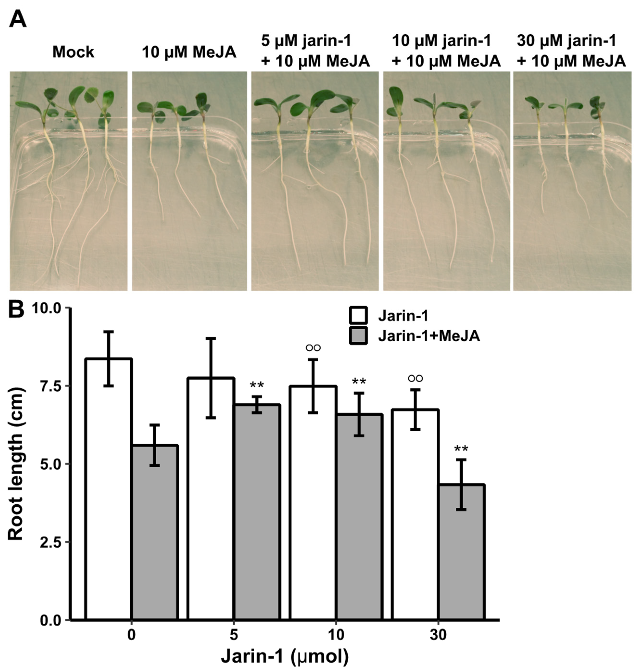 Preprints 86380 g001