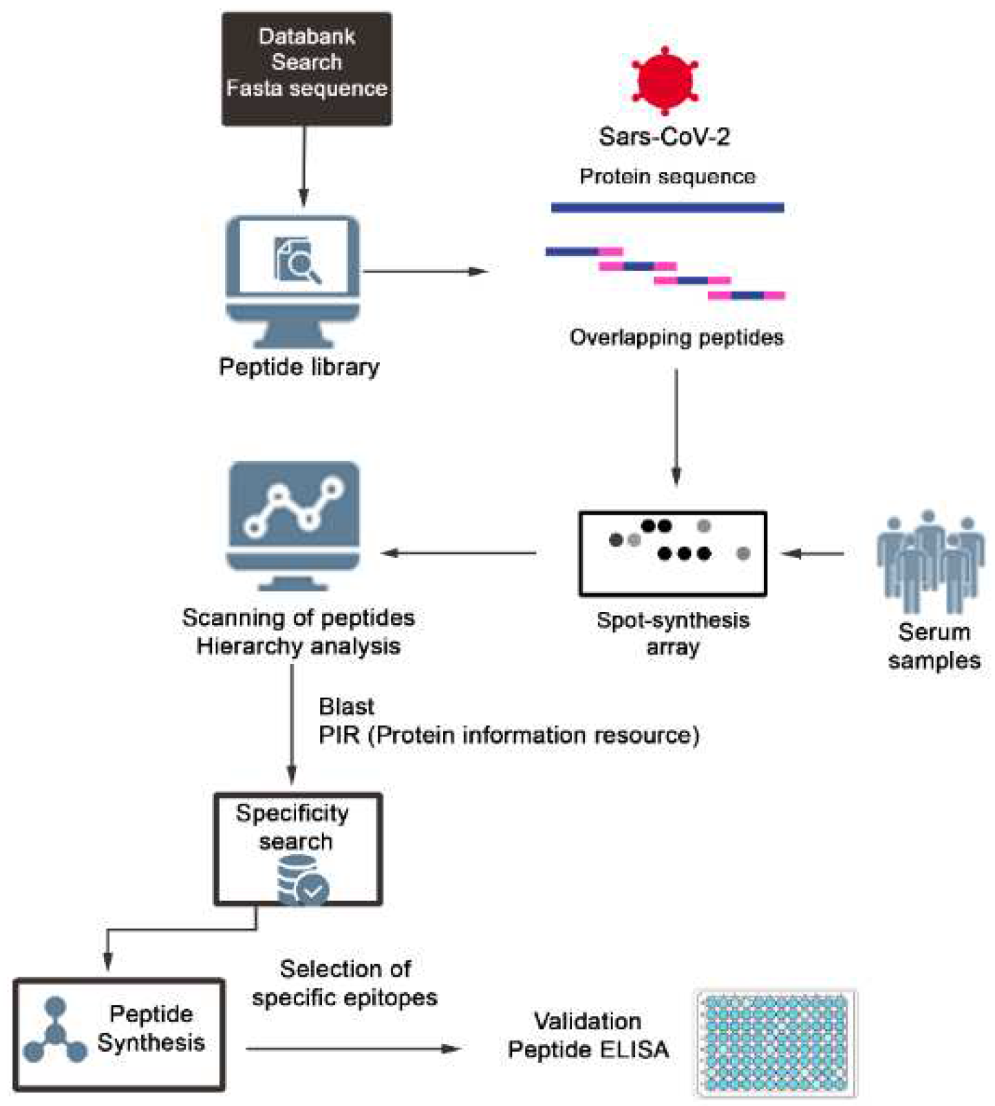 Preprints 90122 g001