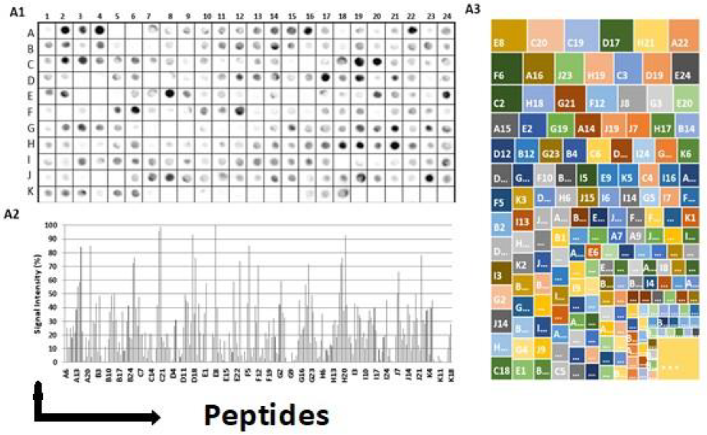 Preprints 90122 g002