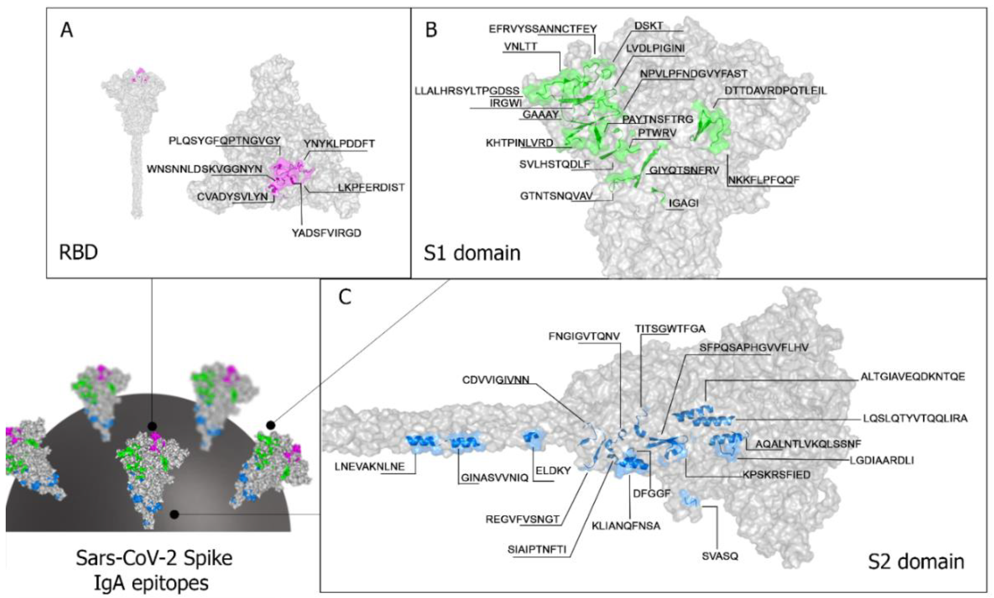 Preprints 90122 g003