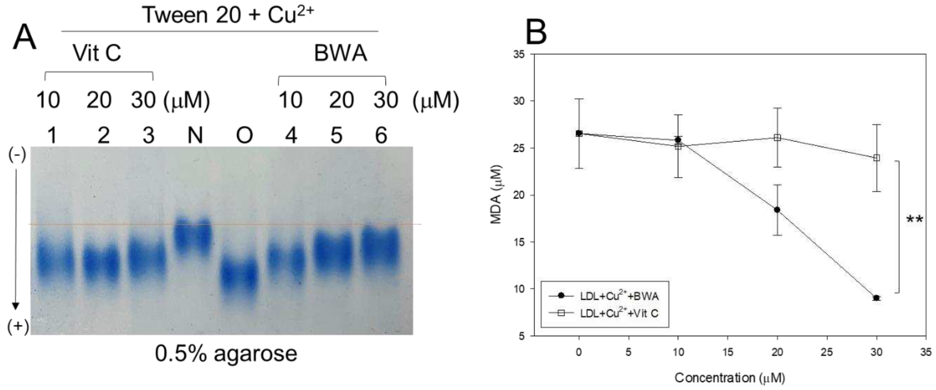 Preprints 86266 g001