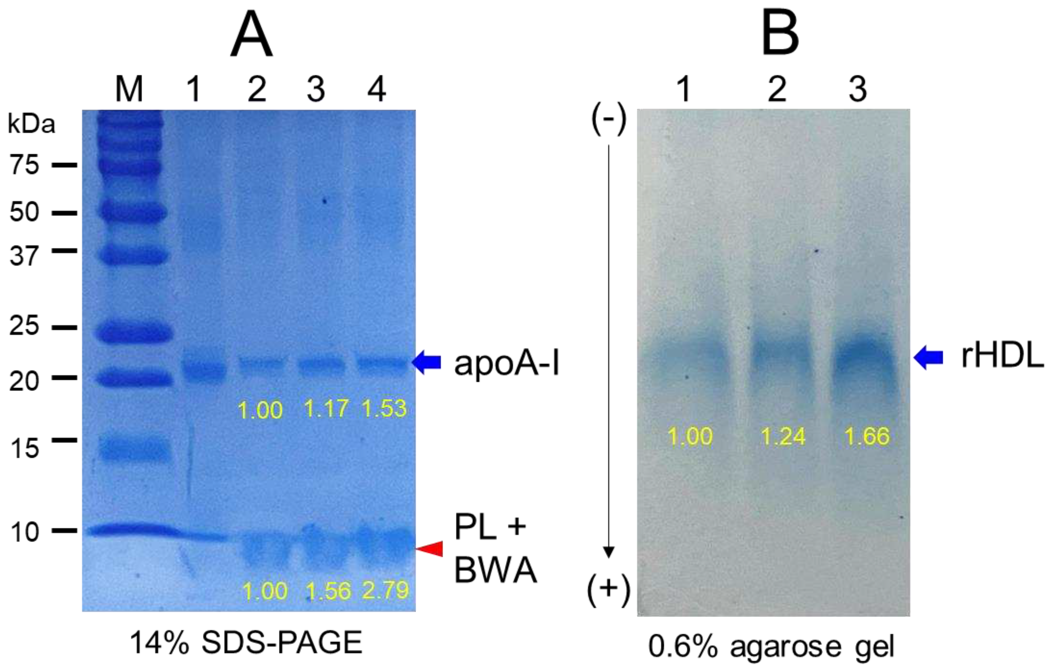 Preprints 86266 g003