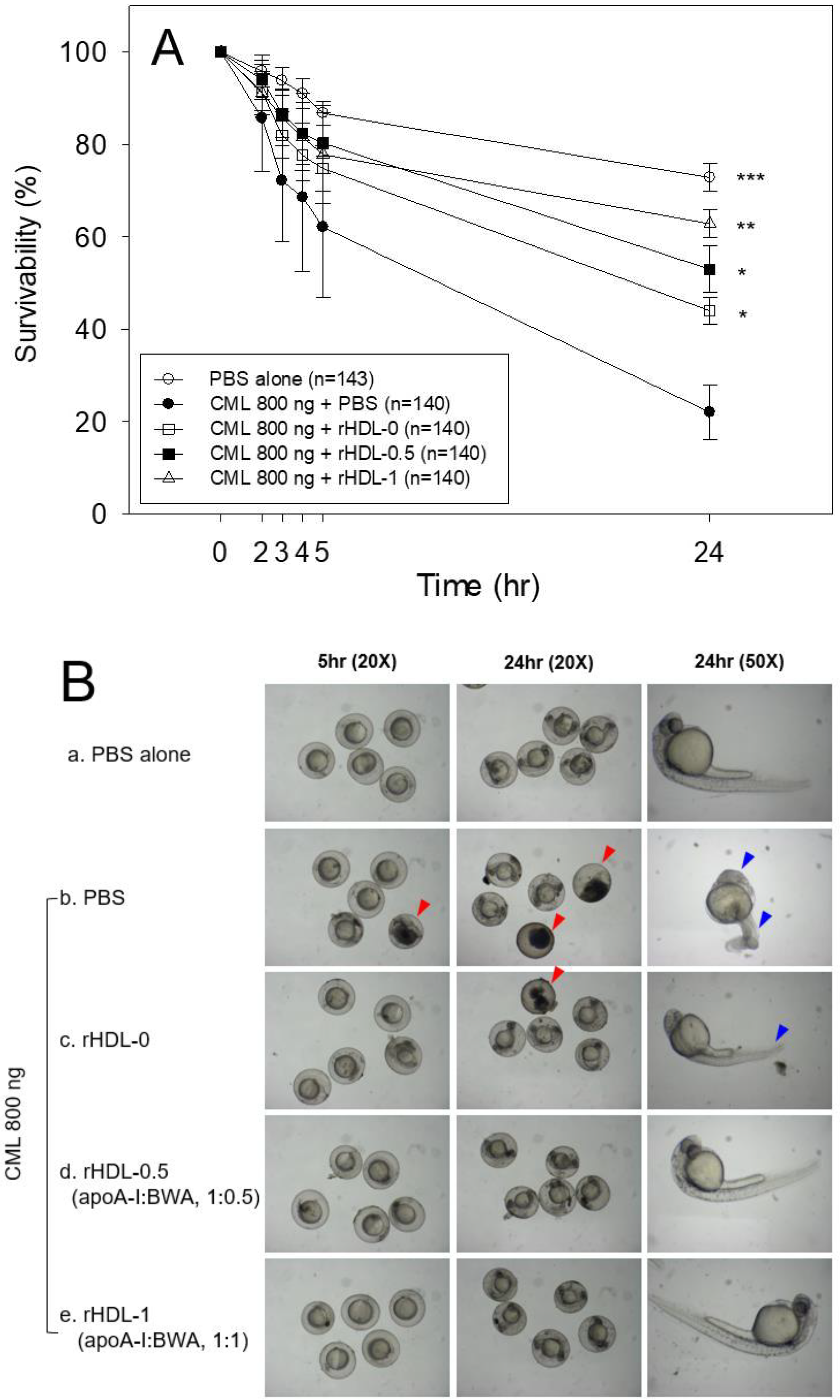 Preprints 86266 g008a