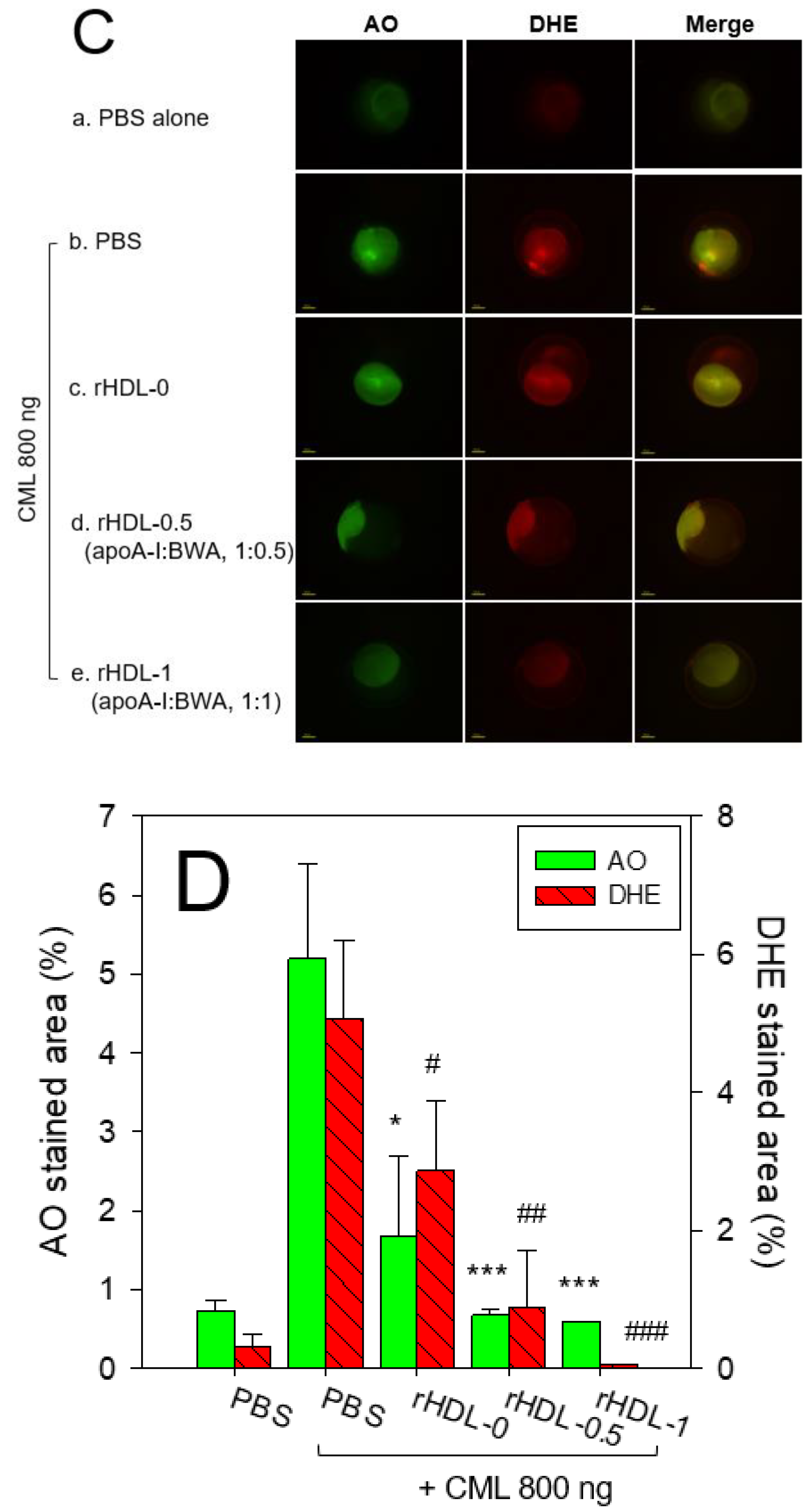 Preprints 86266 g008b