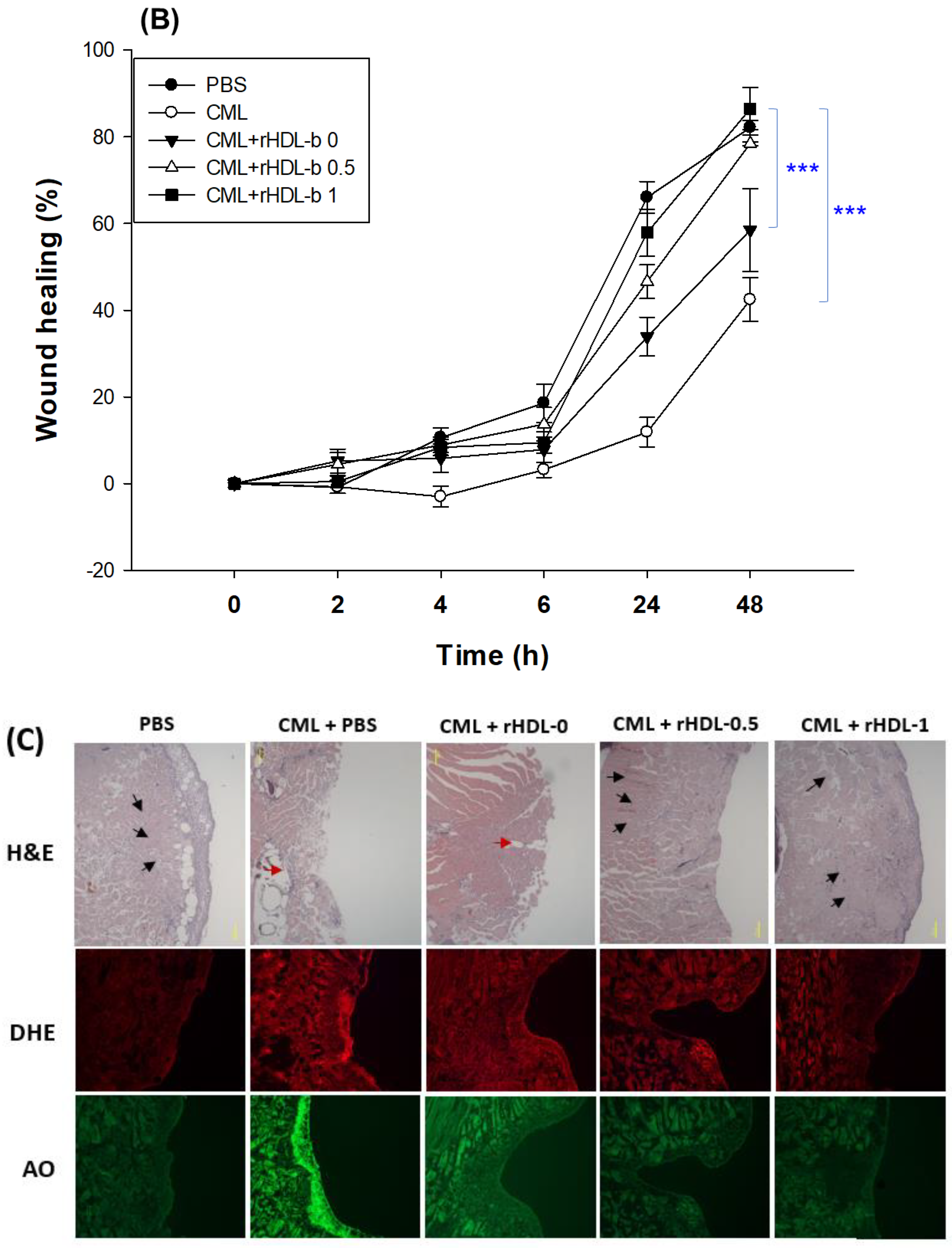 Preprints 86266 g009b