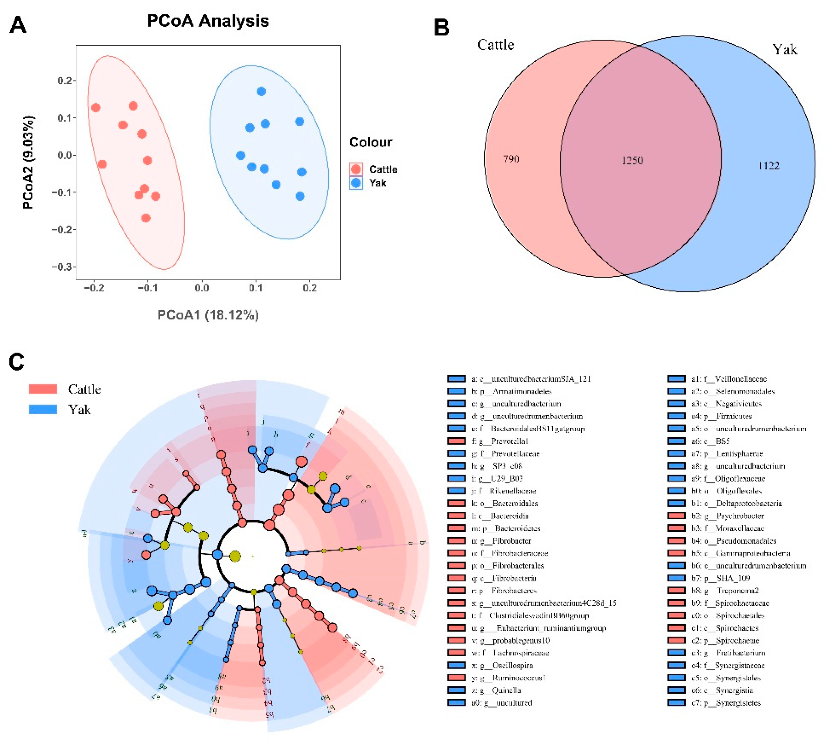 Preprints 84629 g002