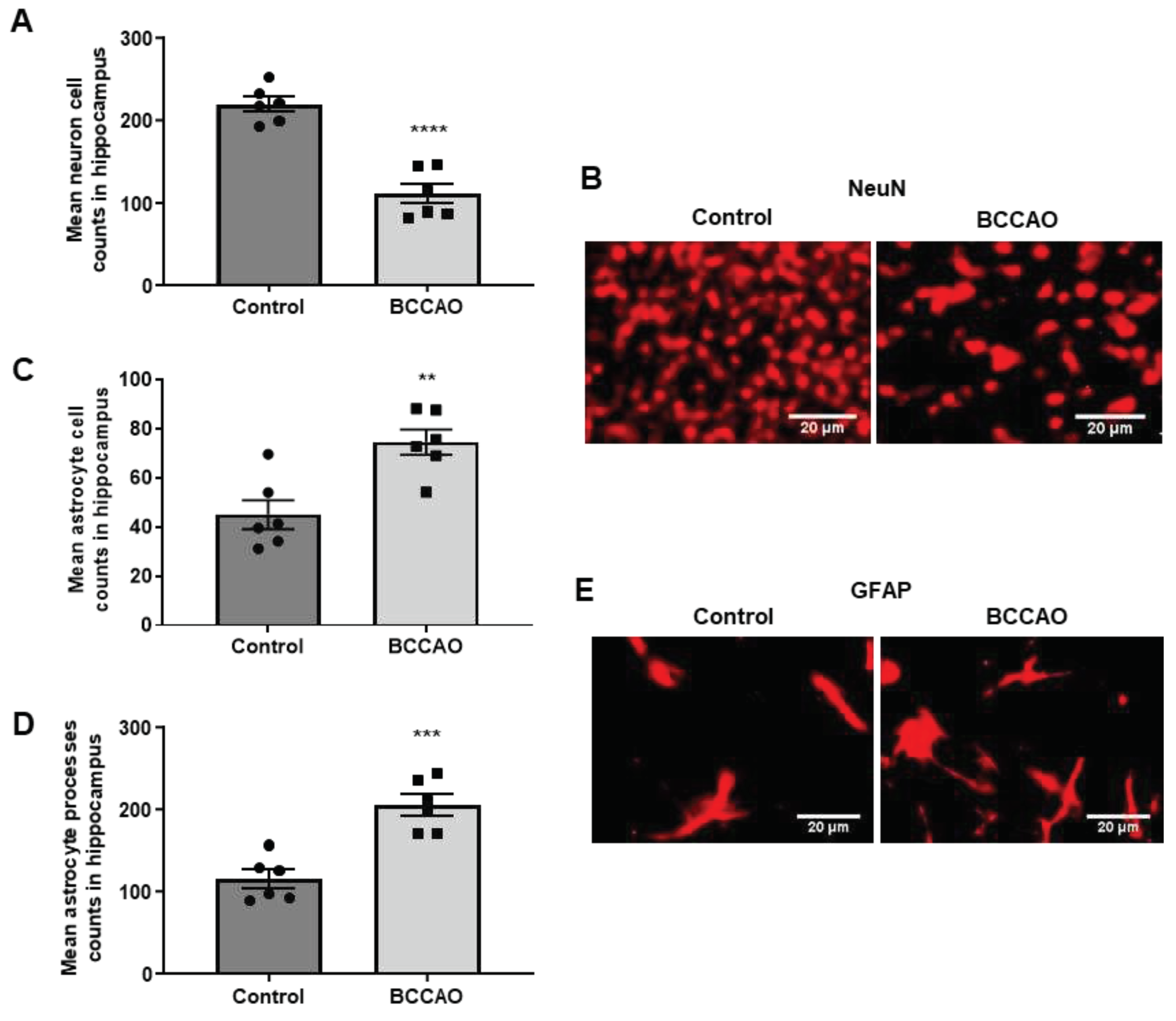 Preprints 85689 g001