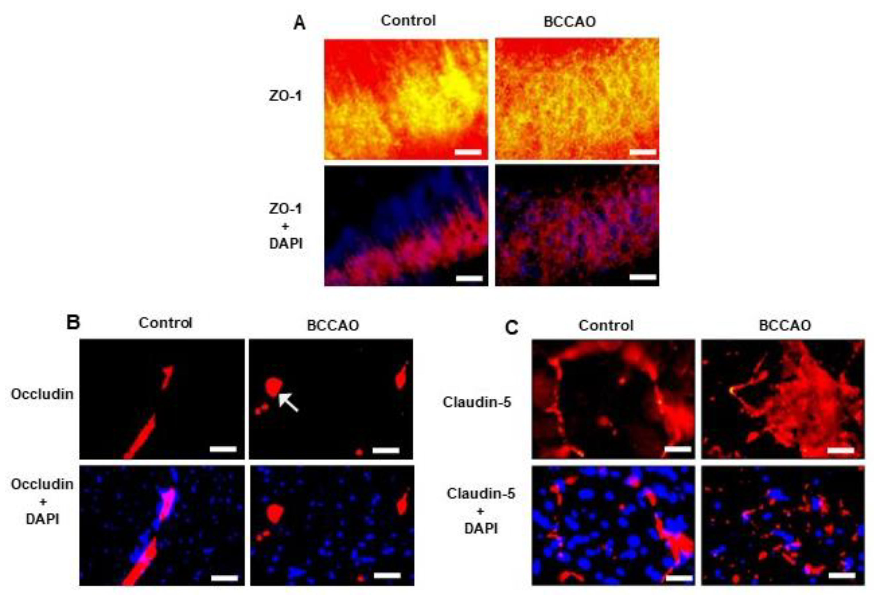 Preprints 85689 g002