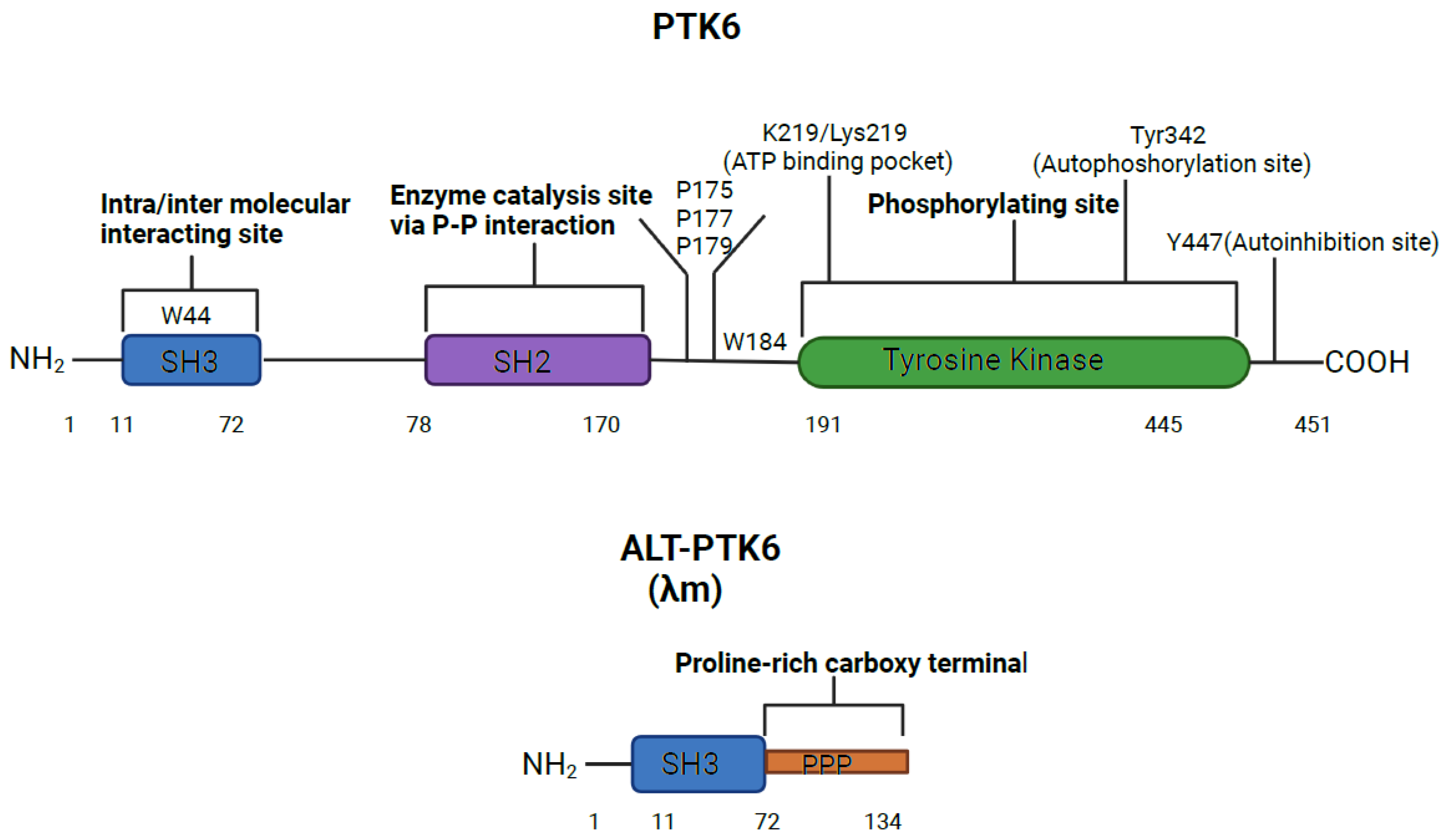 Preprints 74584 g001