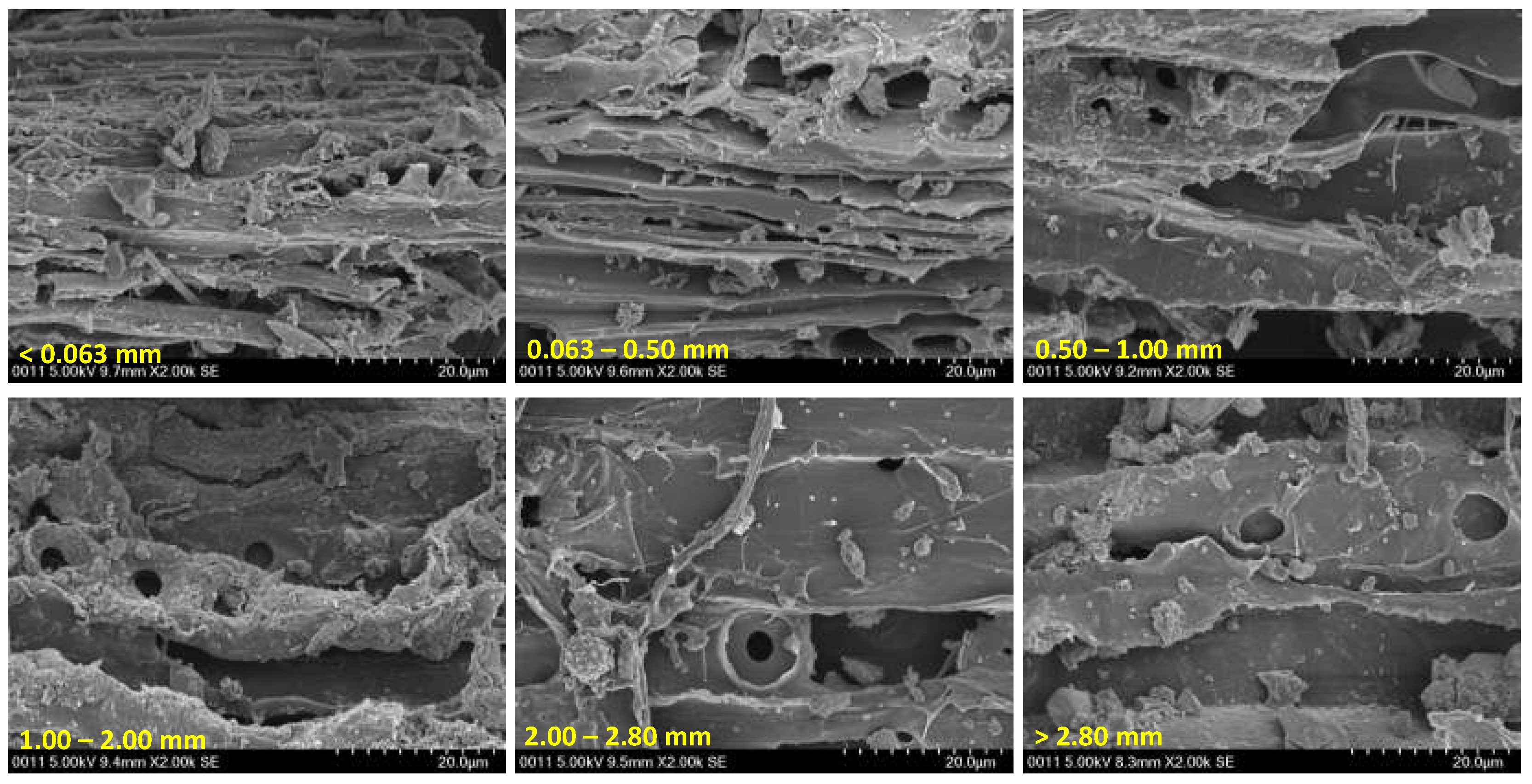 Preprints 71048 g001