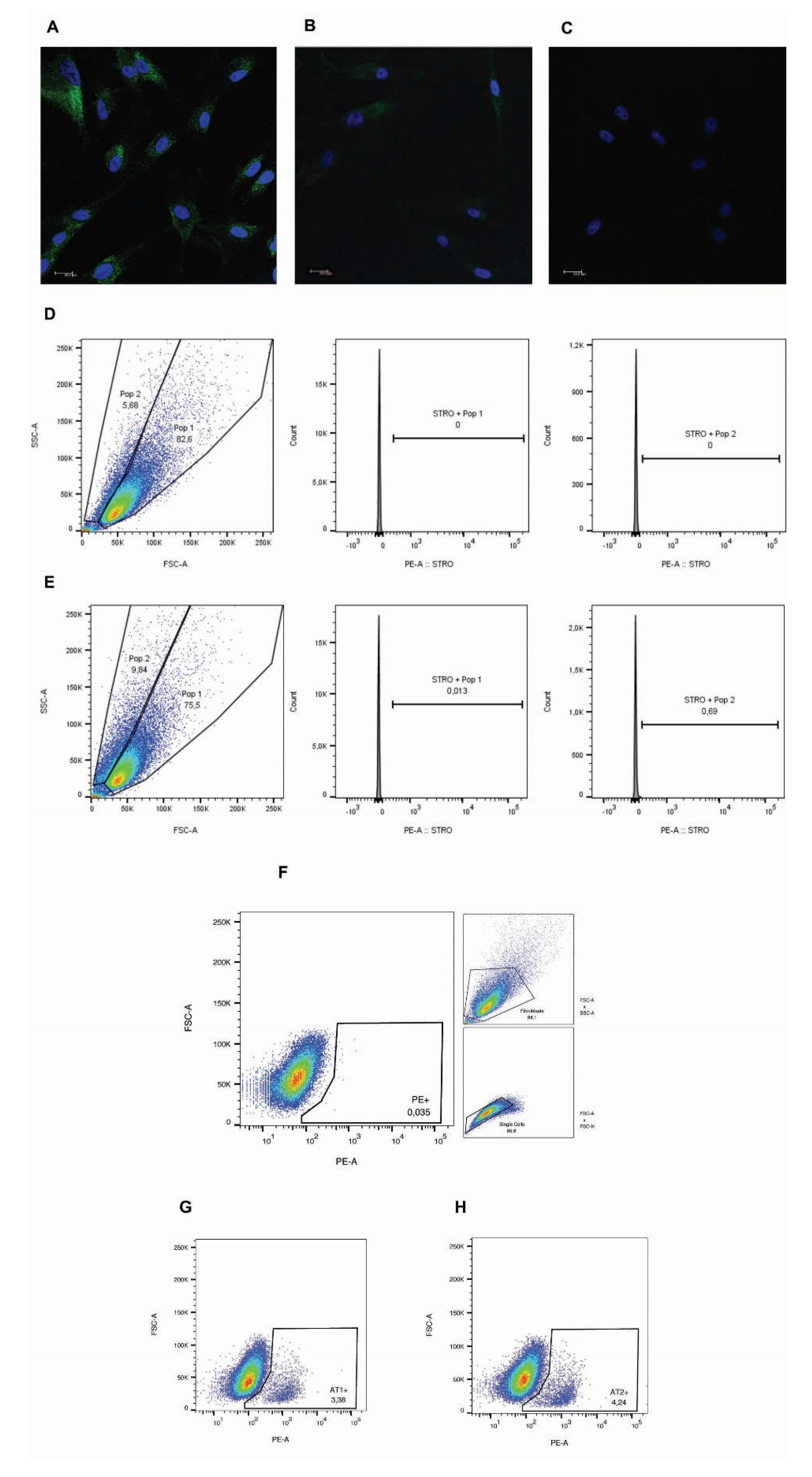 Preprints 71675 g001