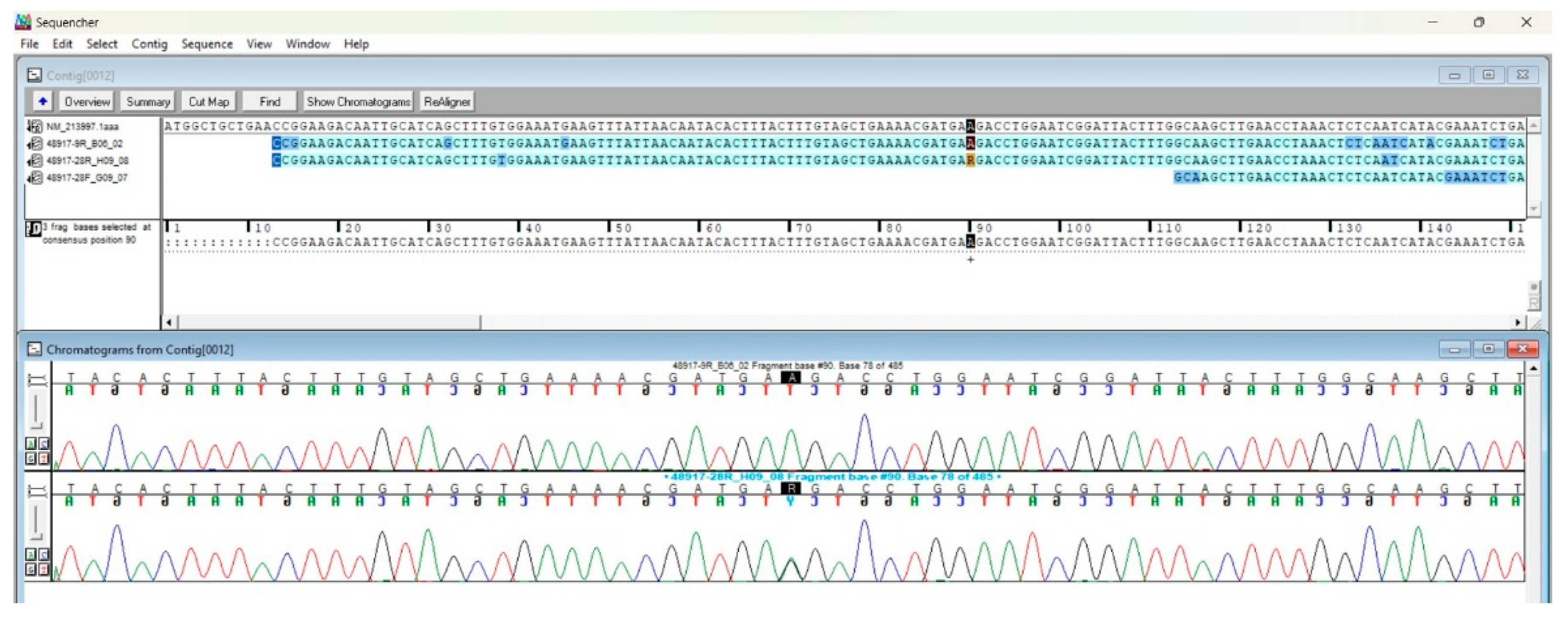 Preprints 98861 g001