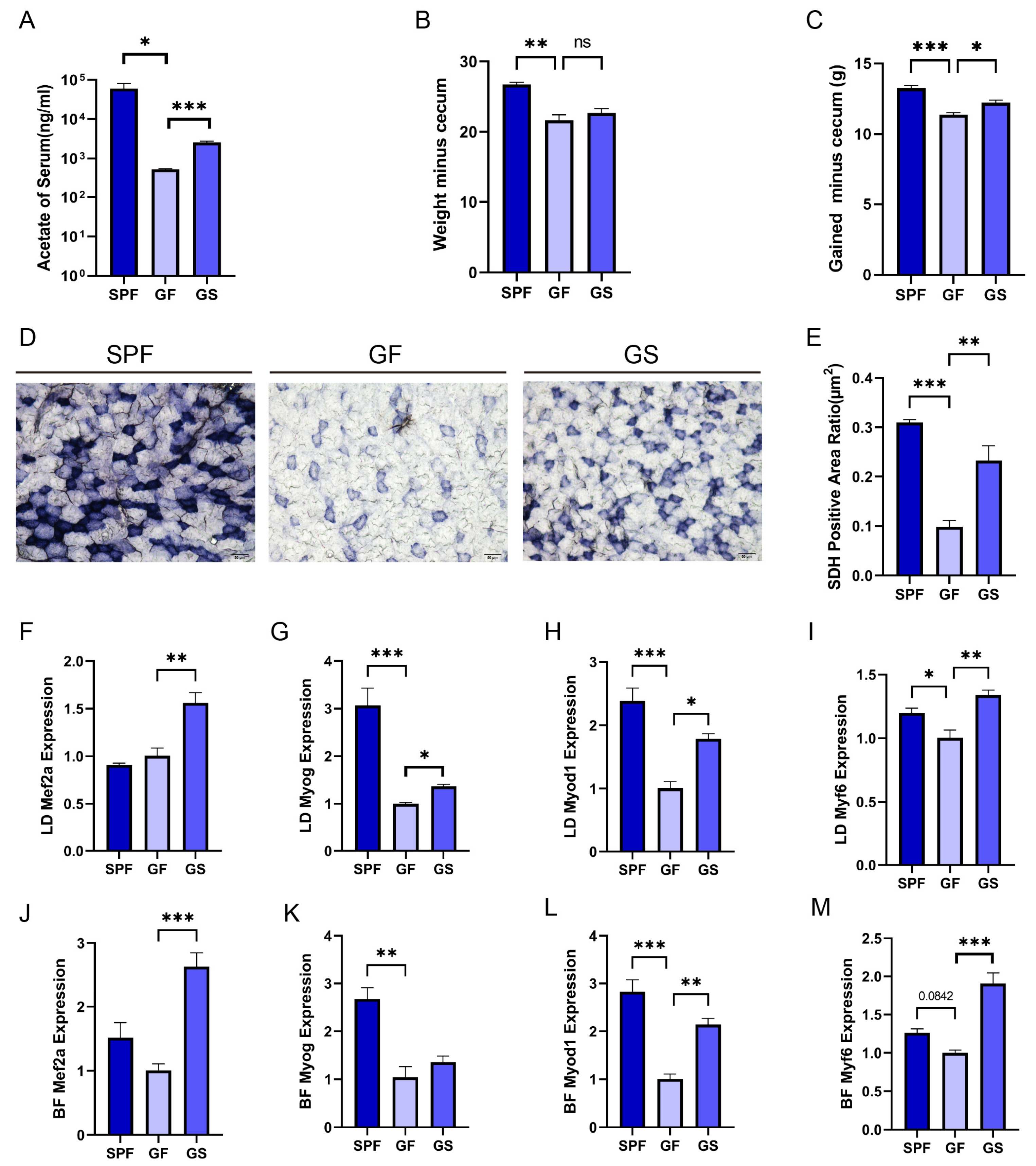 Preprints 105917 g001