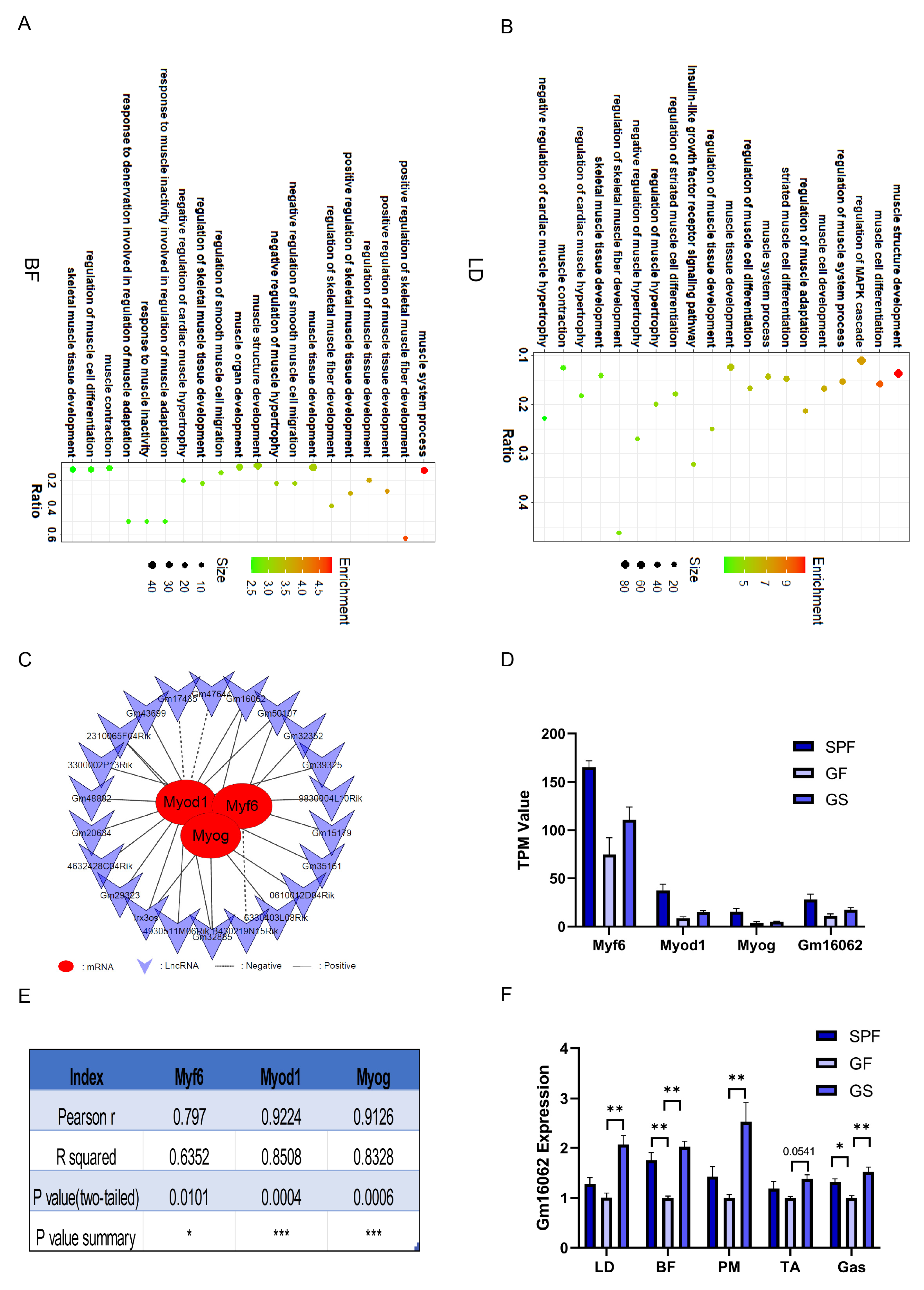 Preprints 105917 g003