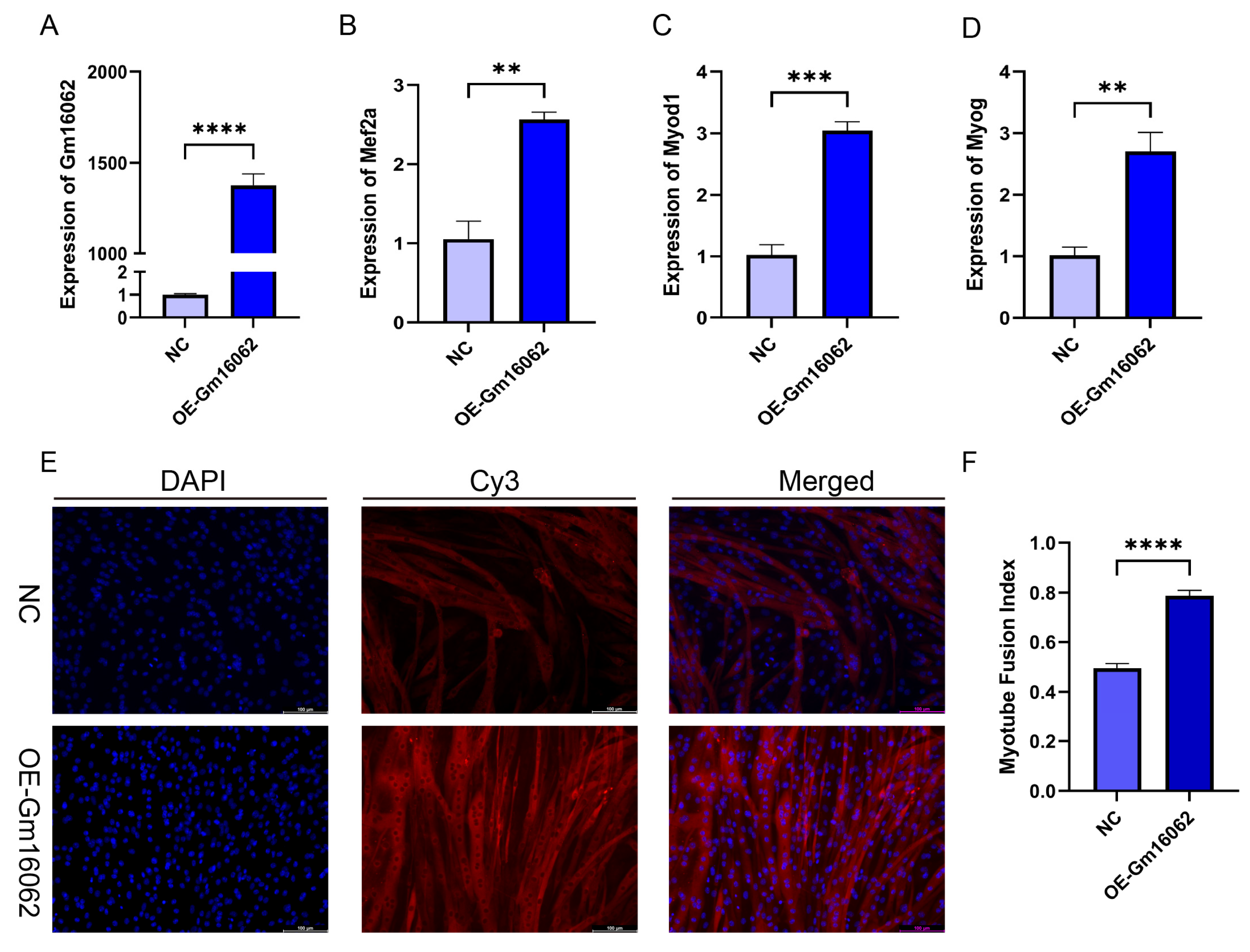 Preprints 105917 g005