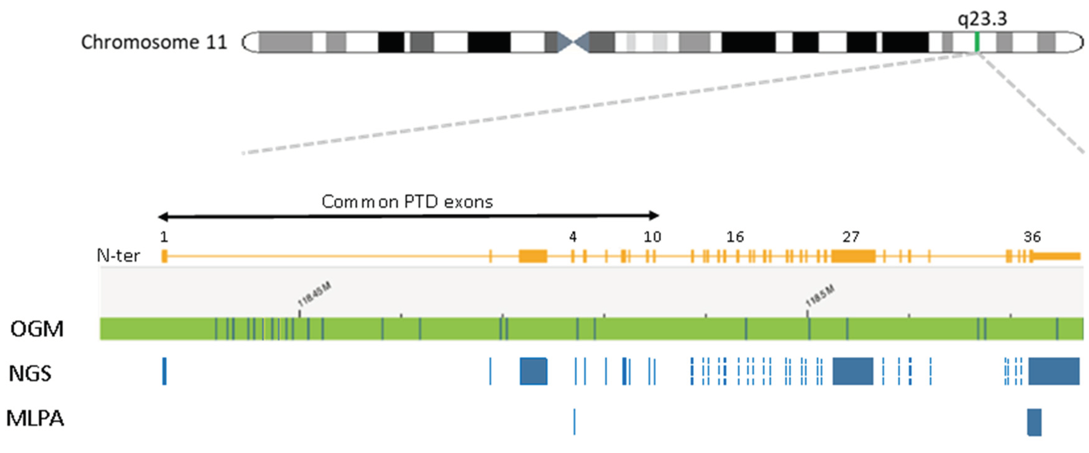 Preprints 101385 g001