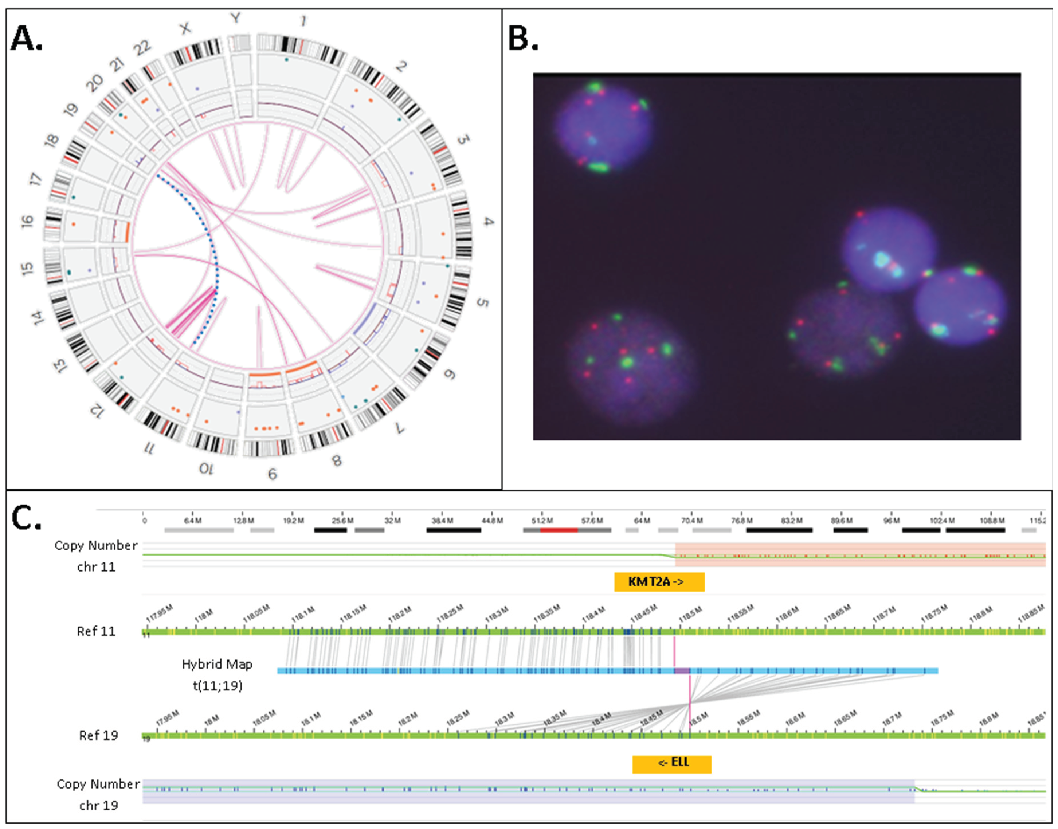 Preprints 101385 g005