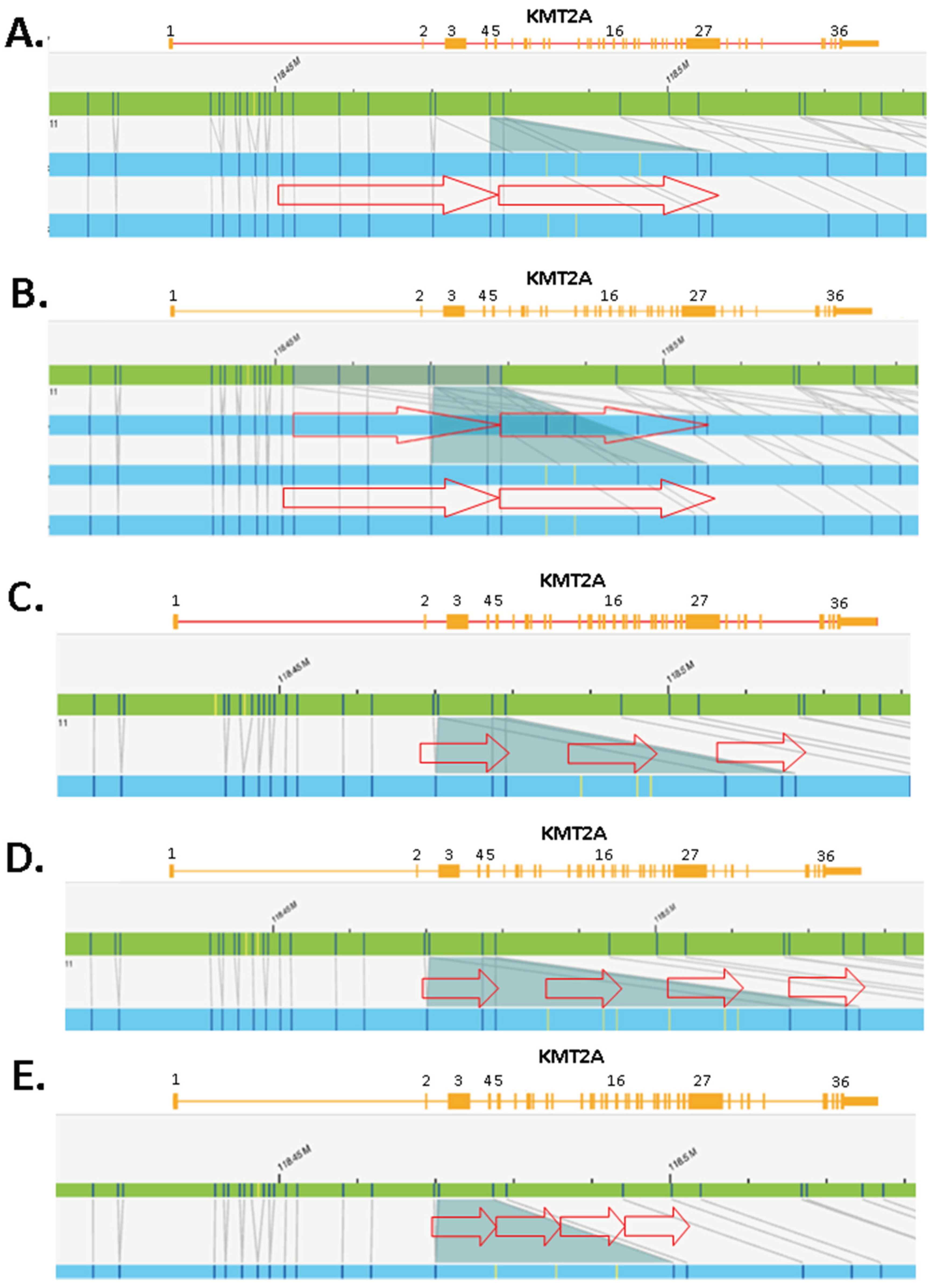 Preprints 101385 g006