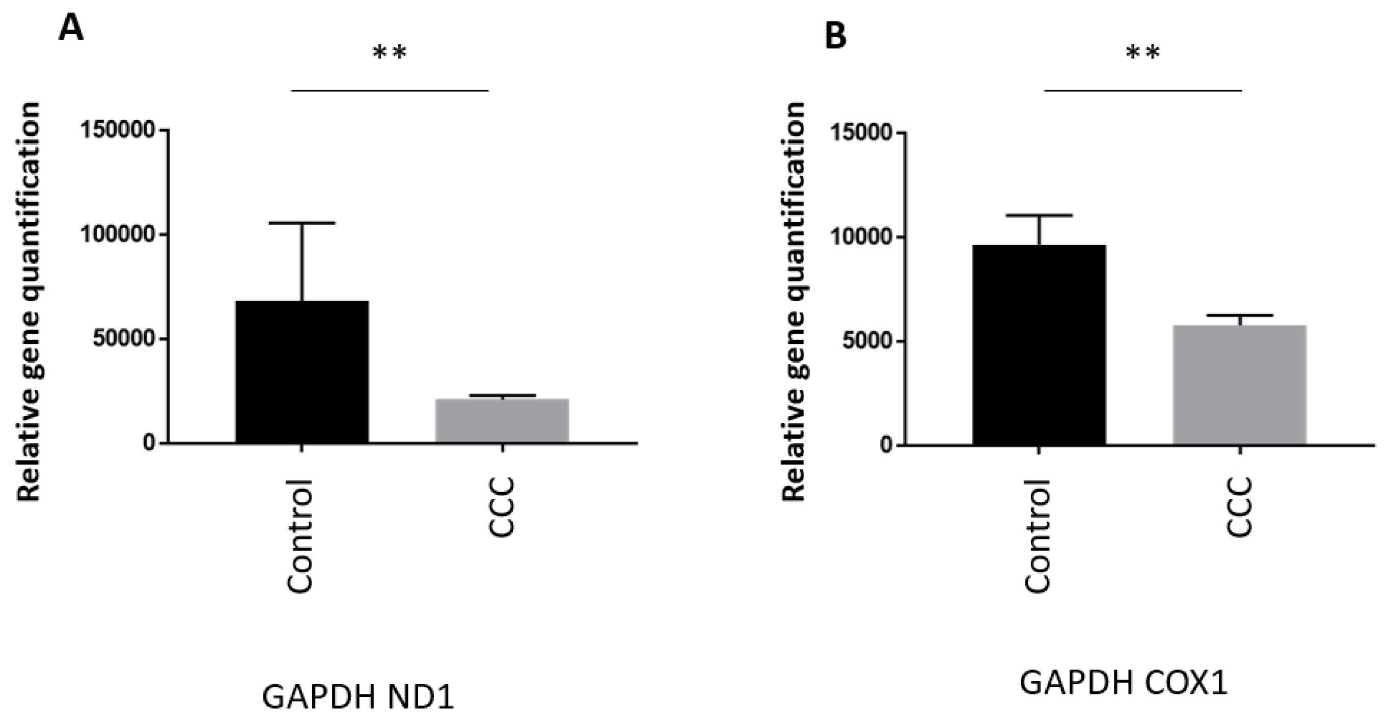 Preprints 87635 g001