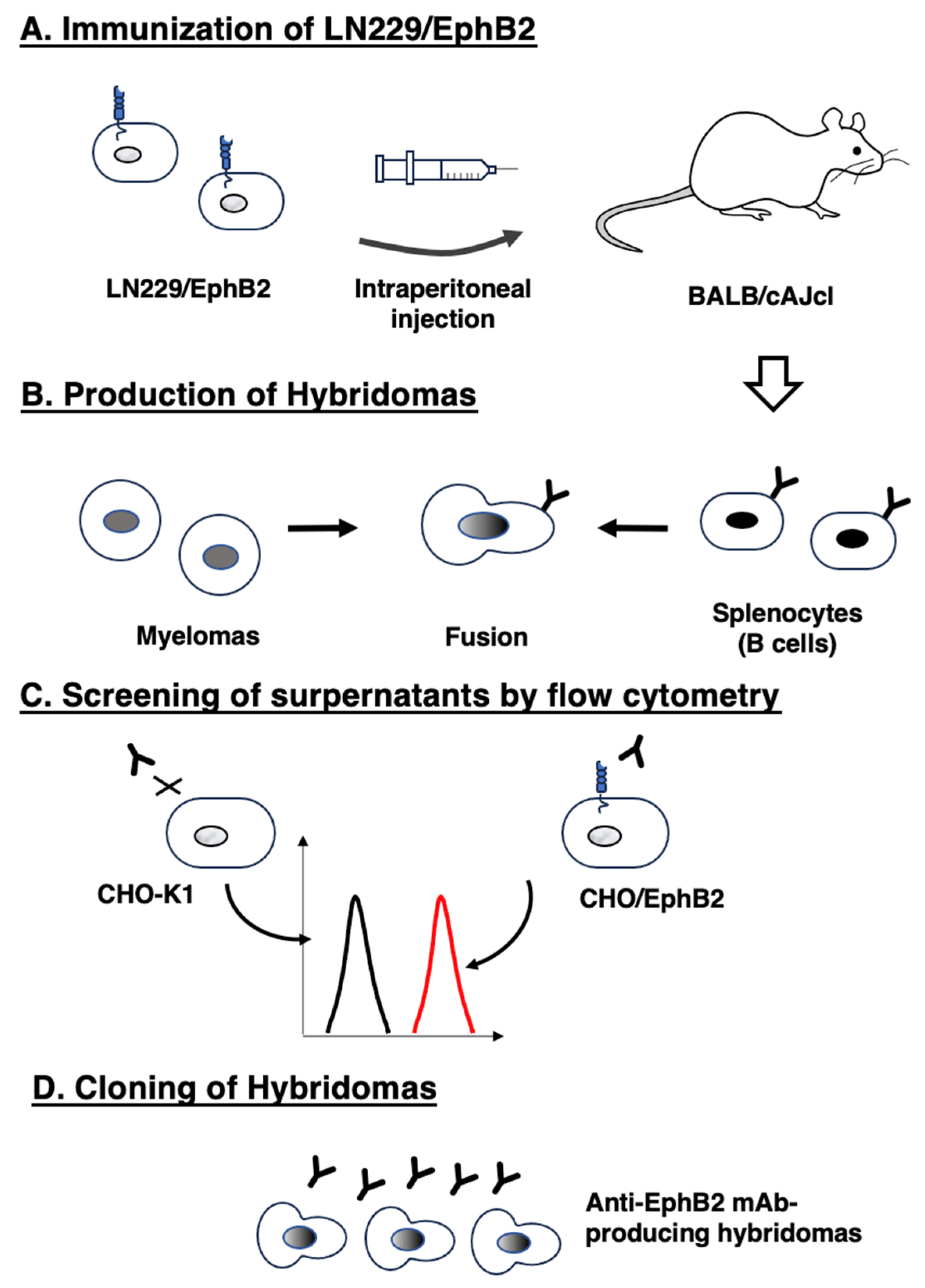 Preprints 108937 g001