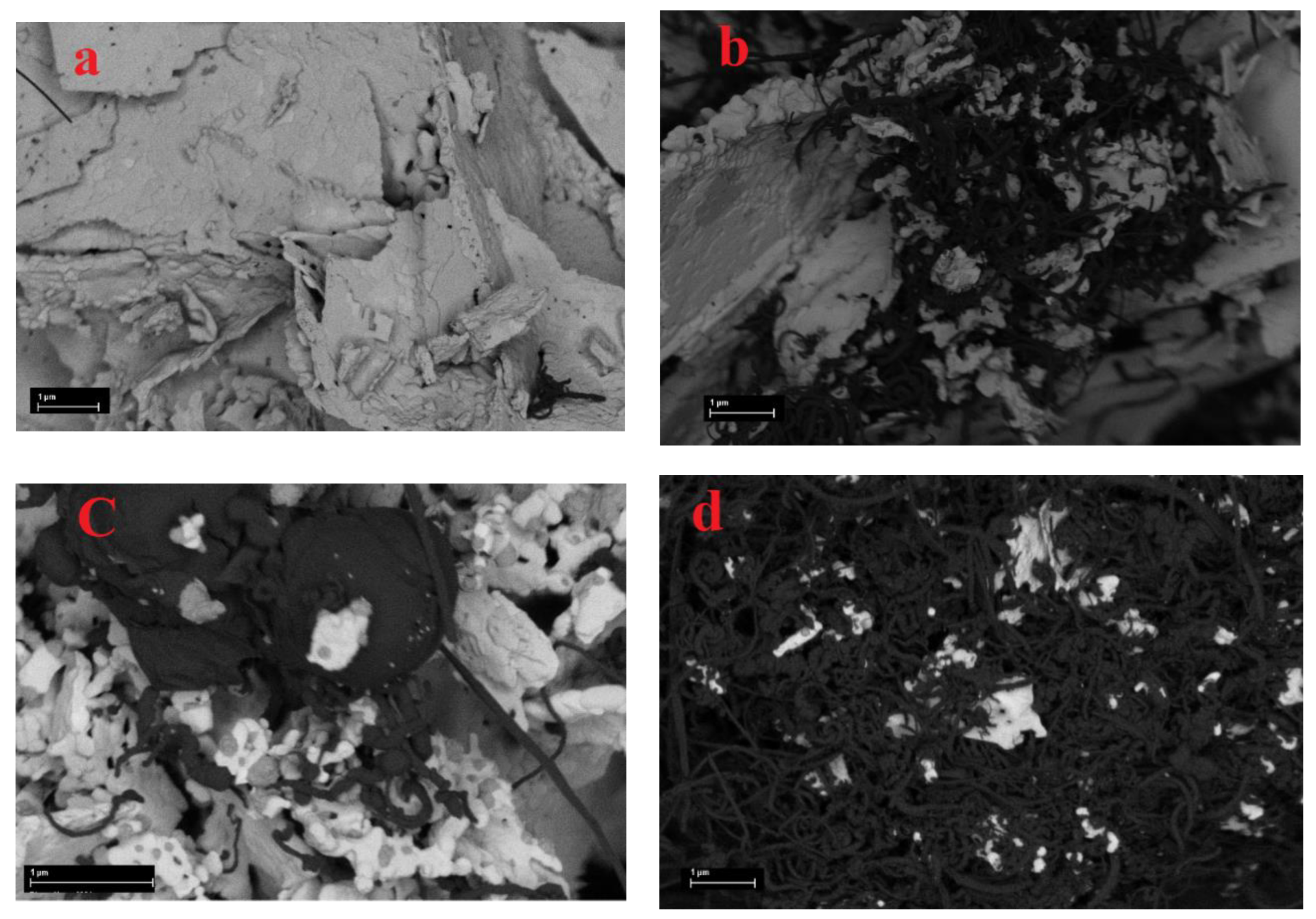 Preprints 78514 g010