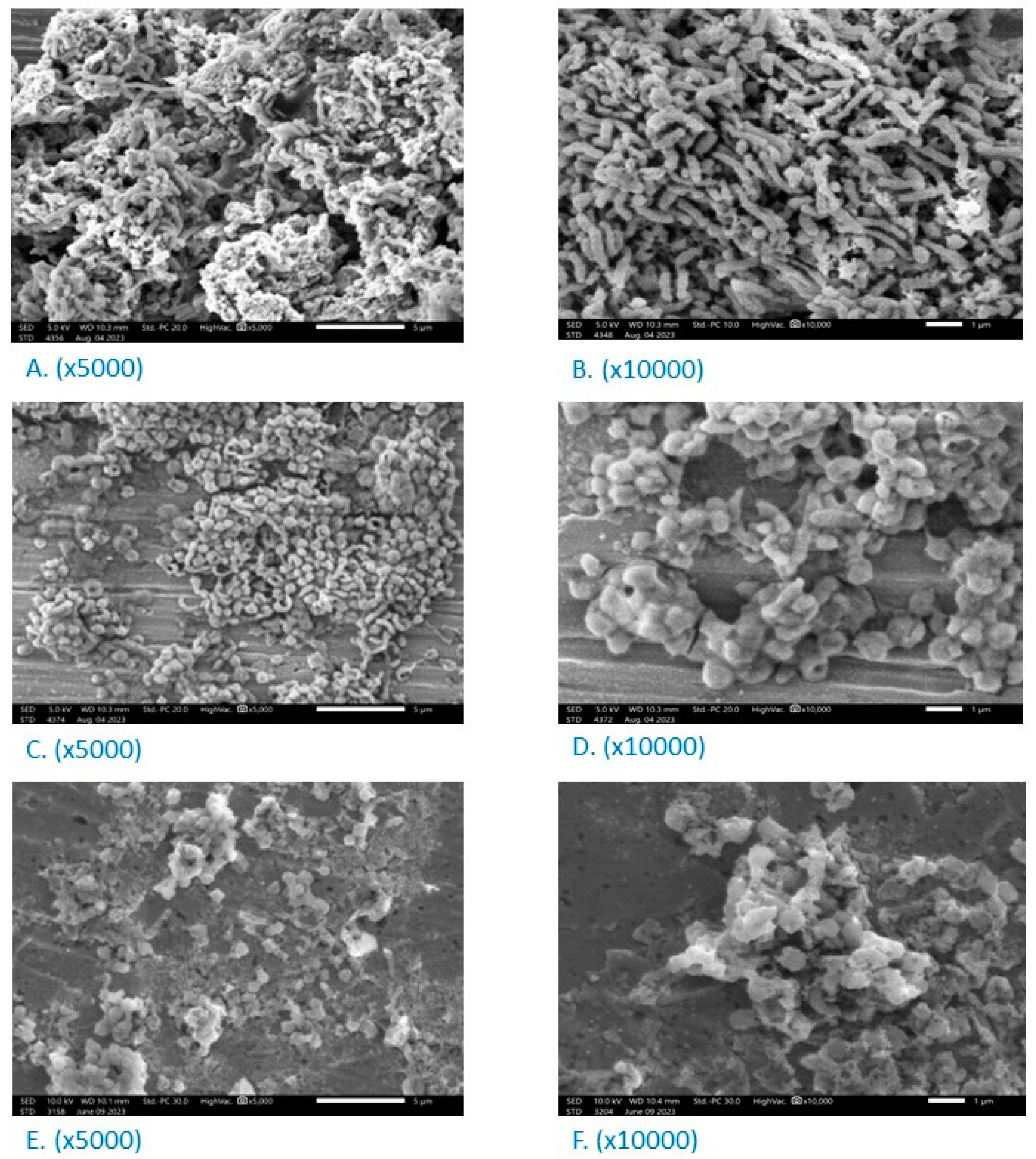 Preprints 115828 g002