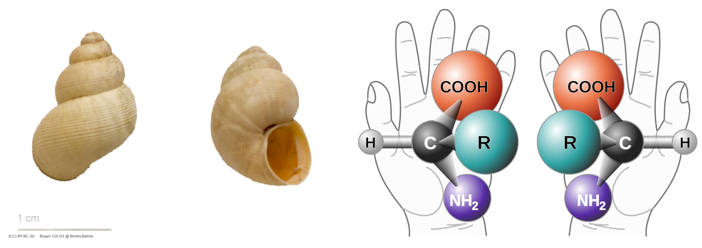 Preprints 98235 g003