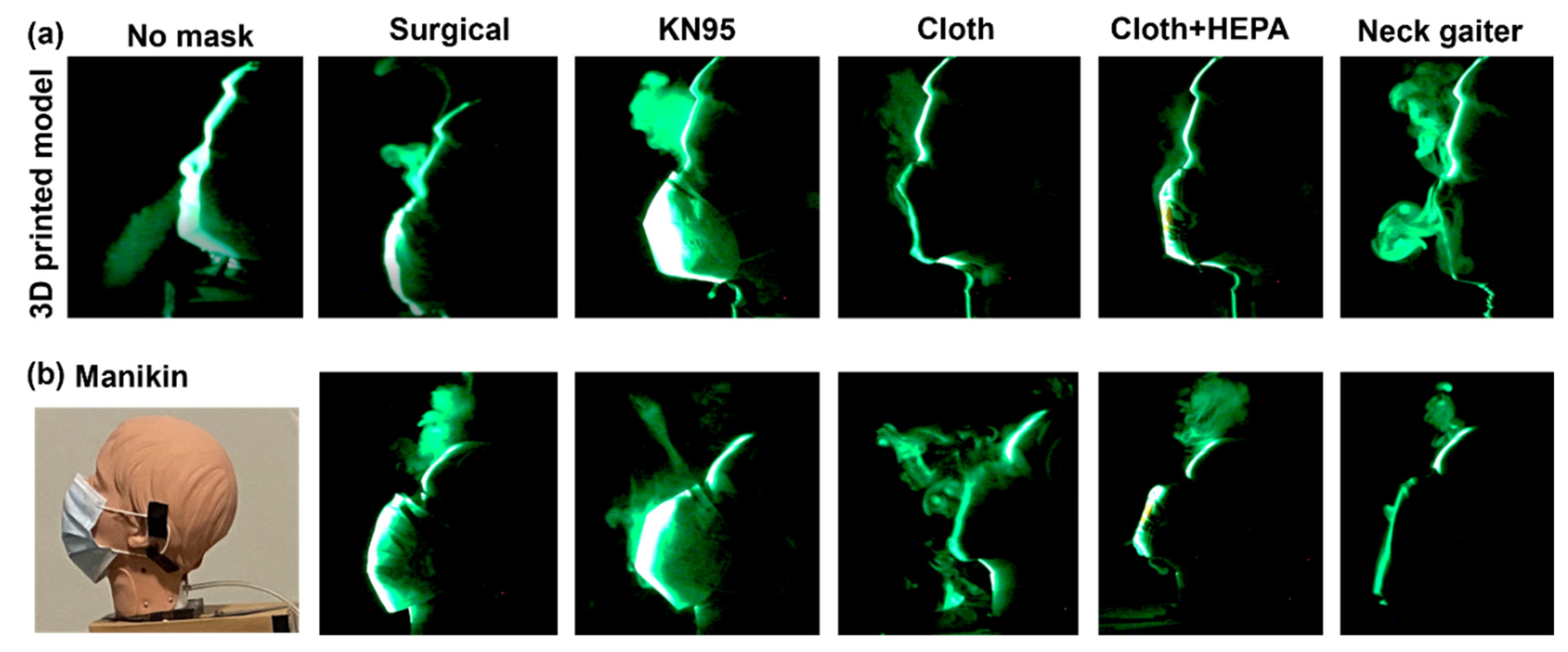 Preprints 108441 g003