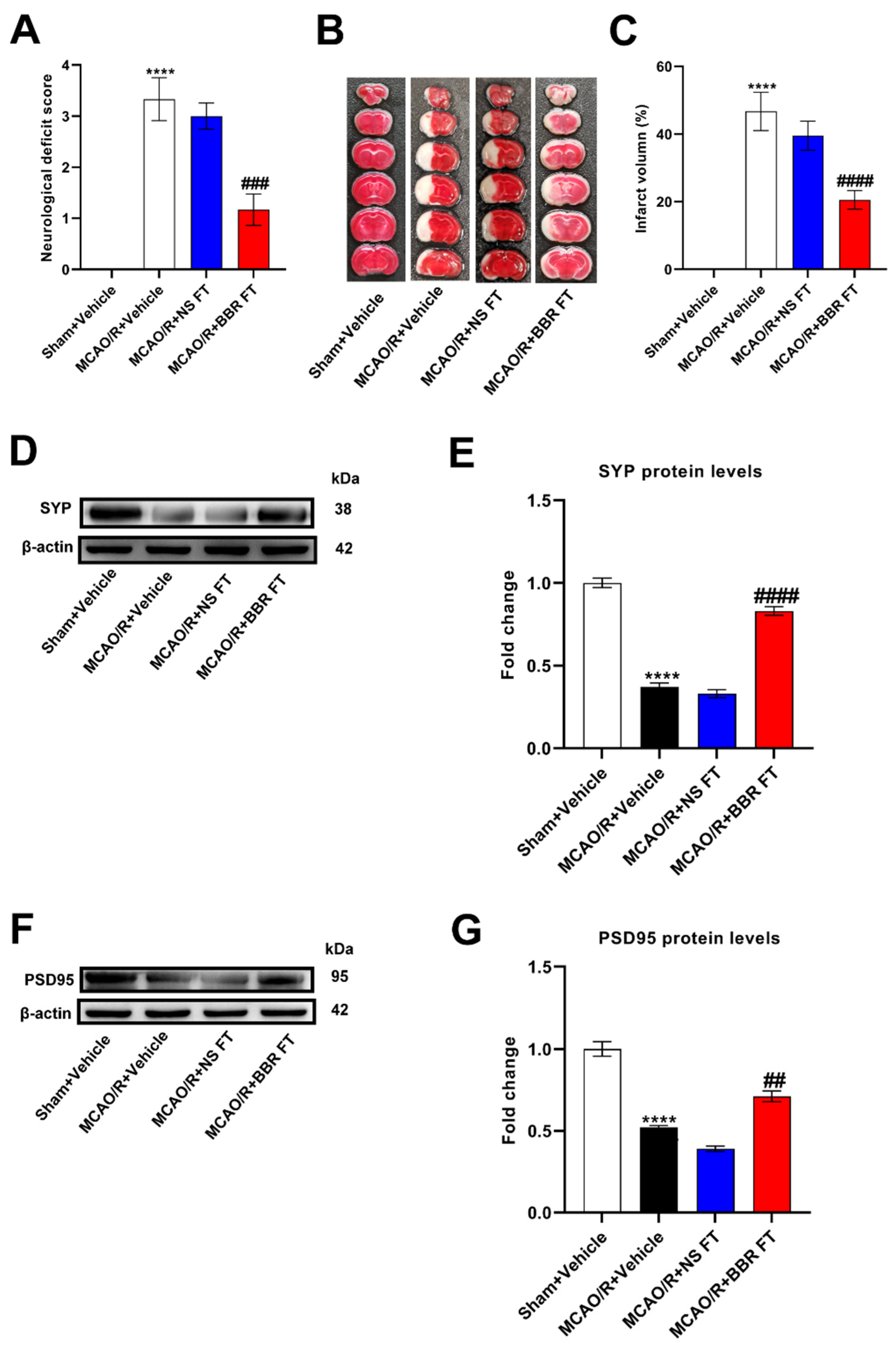 Preprints 88295 g001a