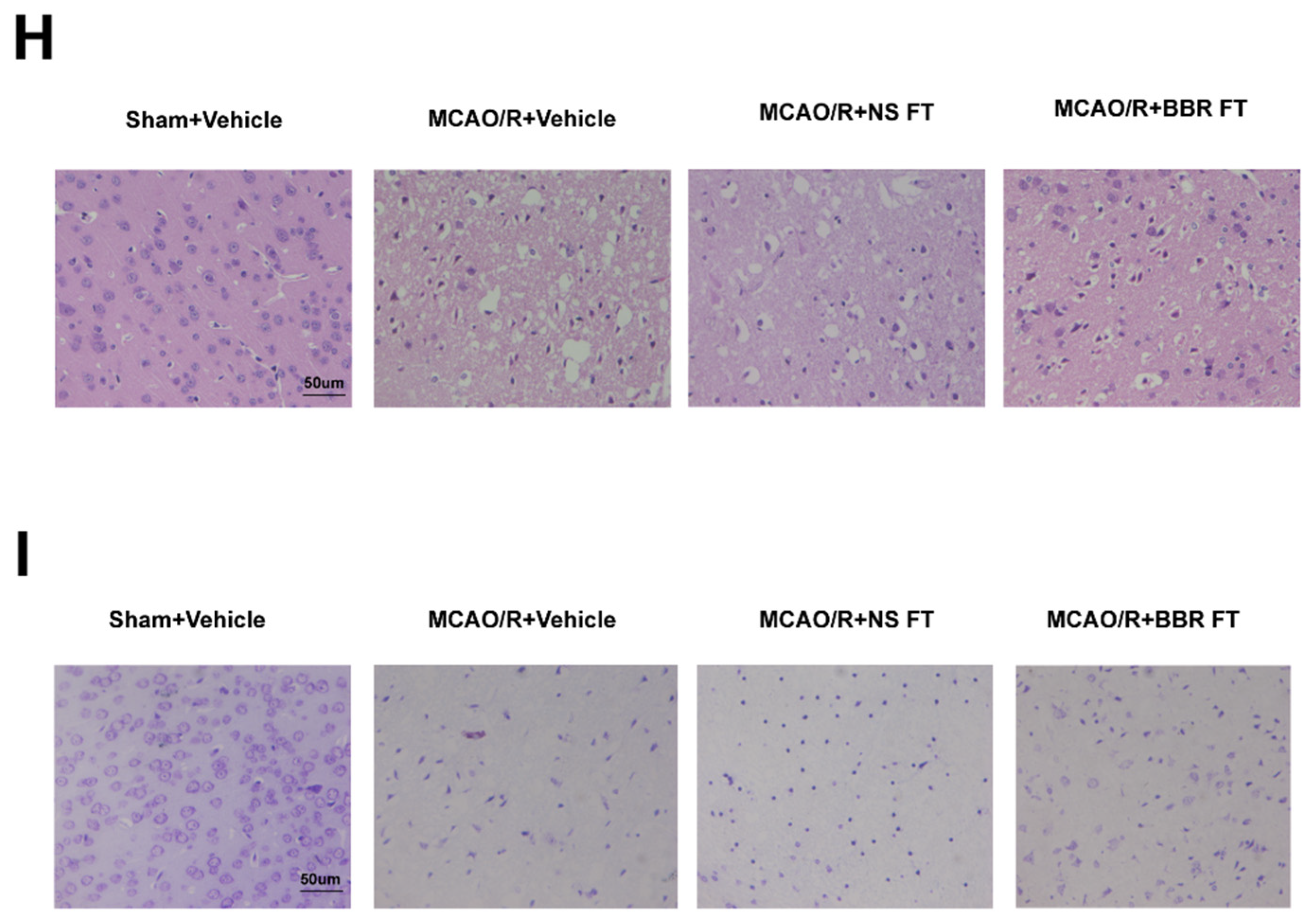 Preprints 88295 g001b