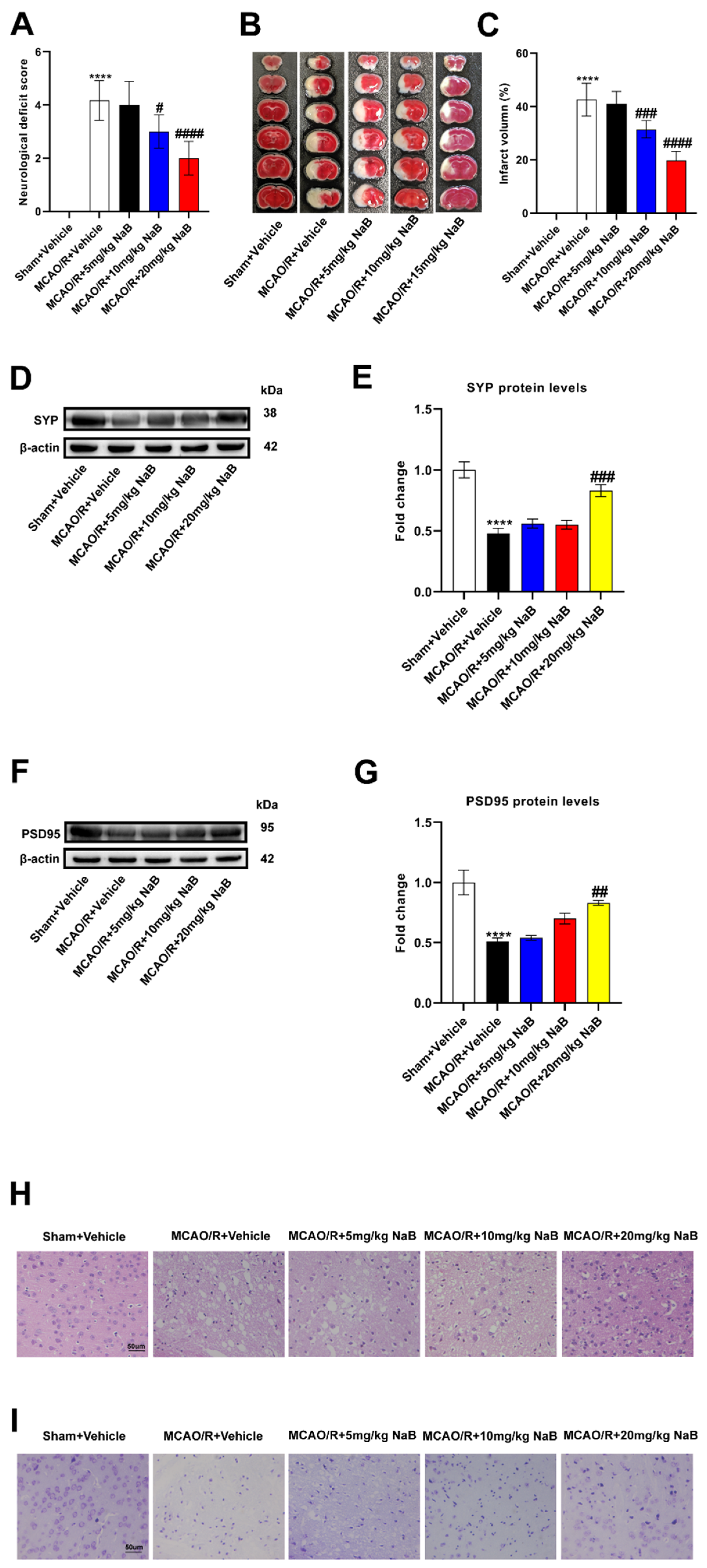 Preprints 88295 g004